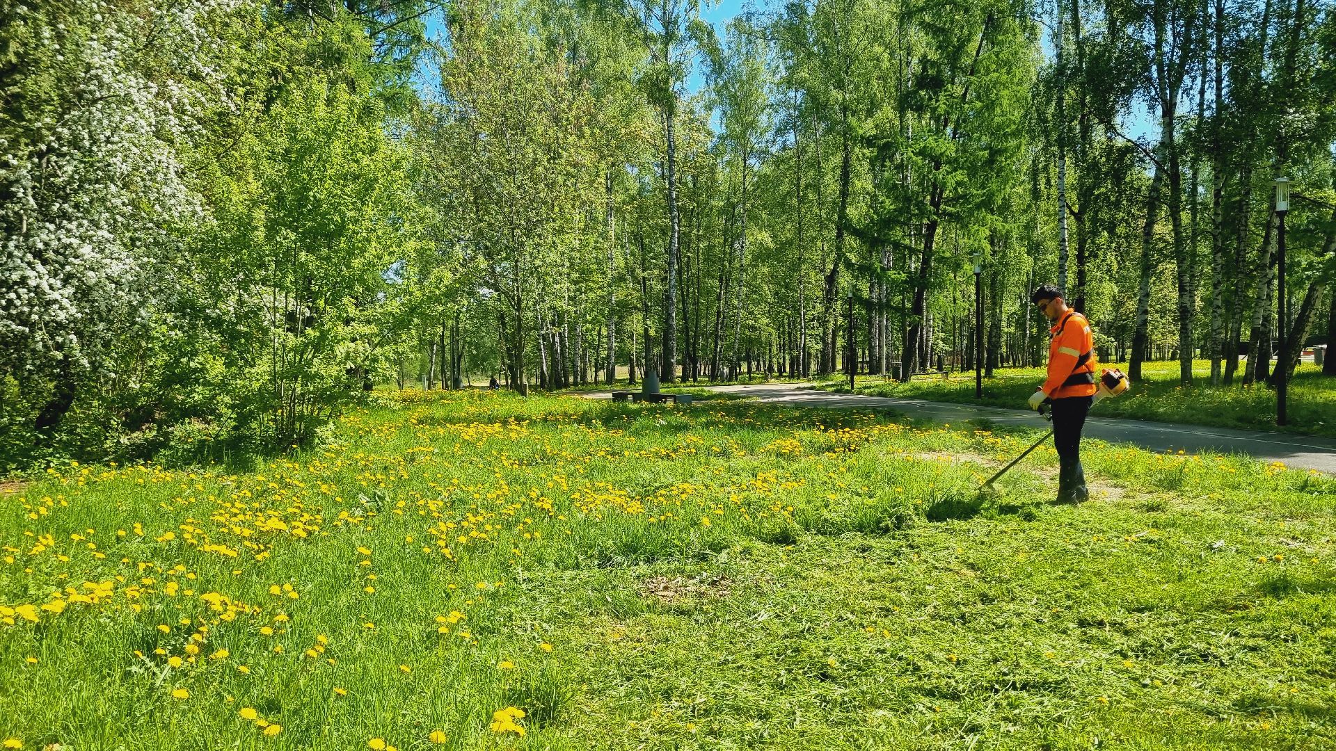 Подмосковье, Ивантеевка, благоустройство, парки Подмосковья
