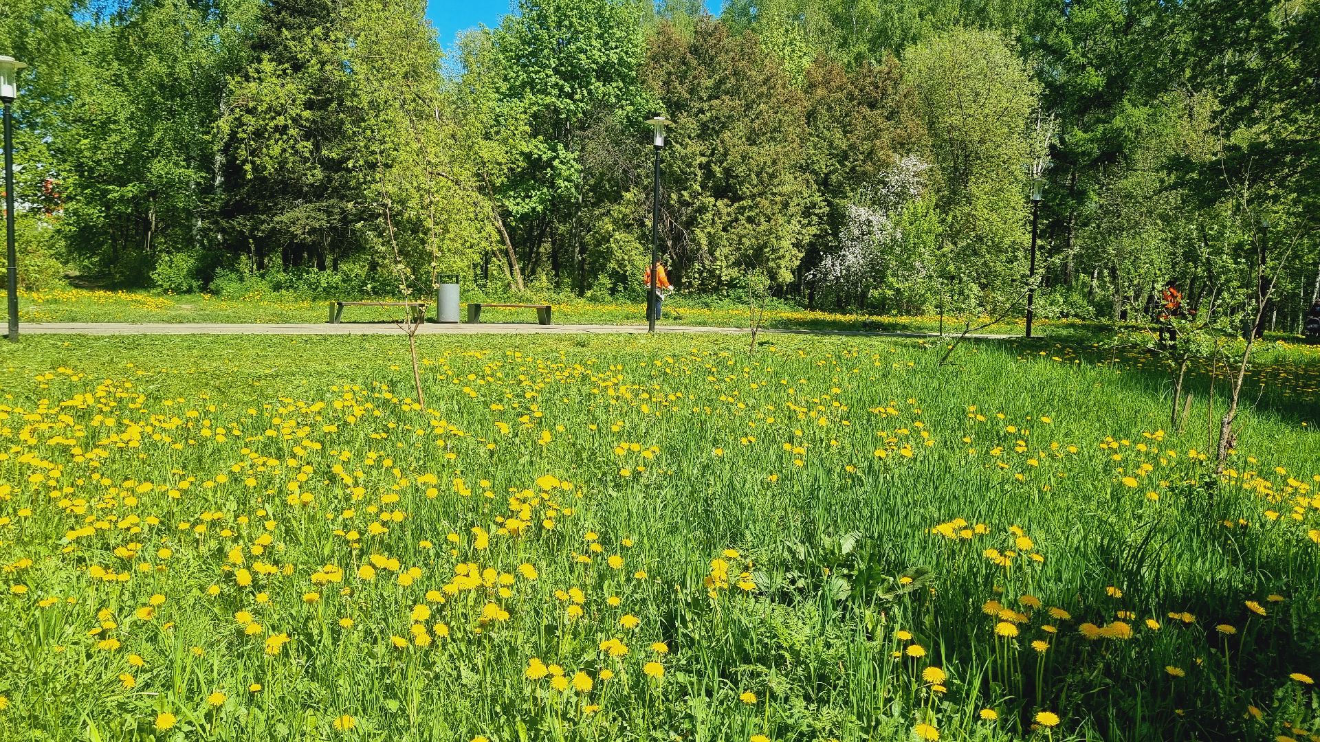 Подмосковье, Ивантеевка, благоустройство, парки Подмосковья