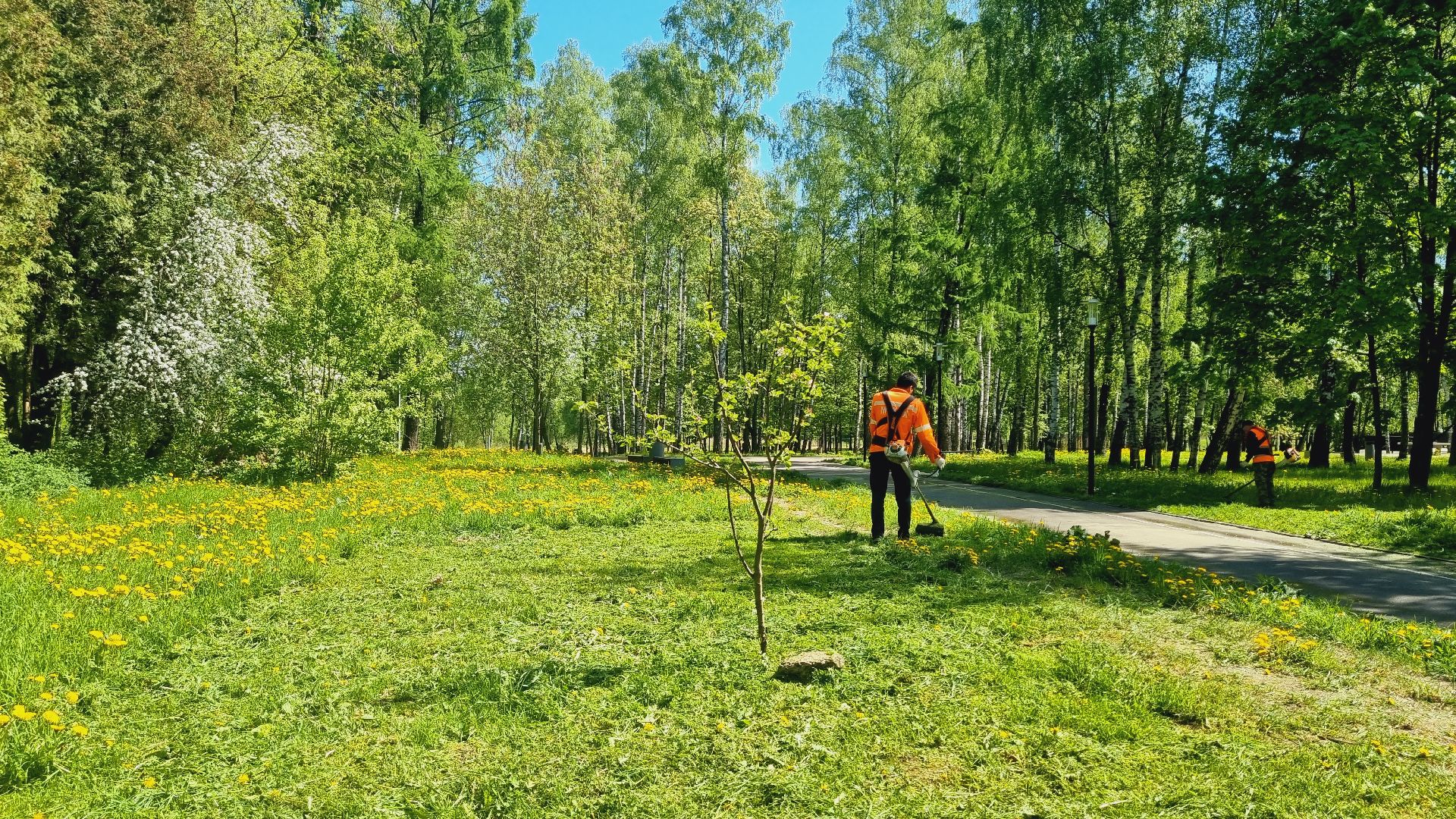 Подмосковье, Ивантеевка, благоустройство, парки Подмосковья