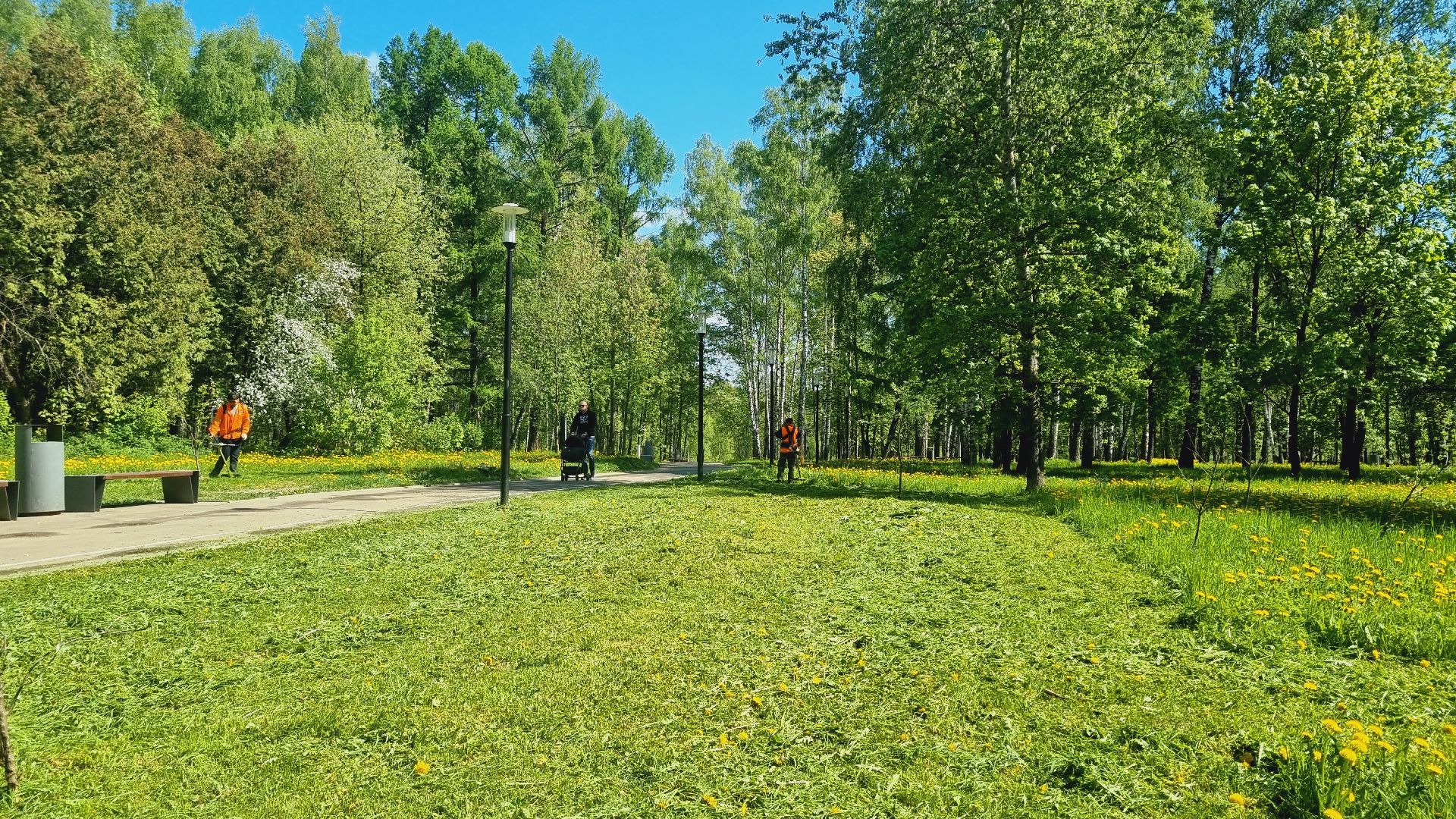 Подмосковье, Ивантеевка, благоустройство, парки Подмосковья