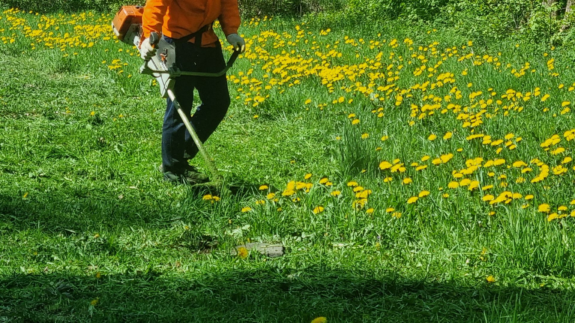 Подмосковье, Ивантеевка, благоустройство, парки Подмосковья