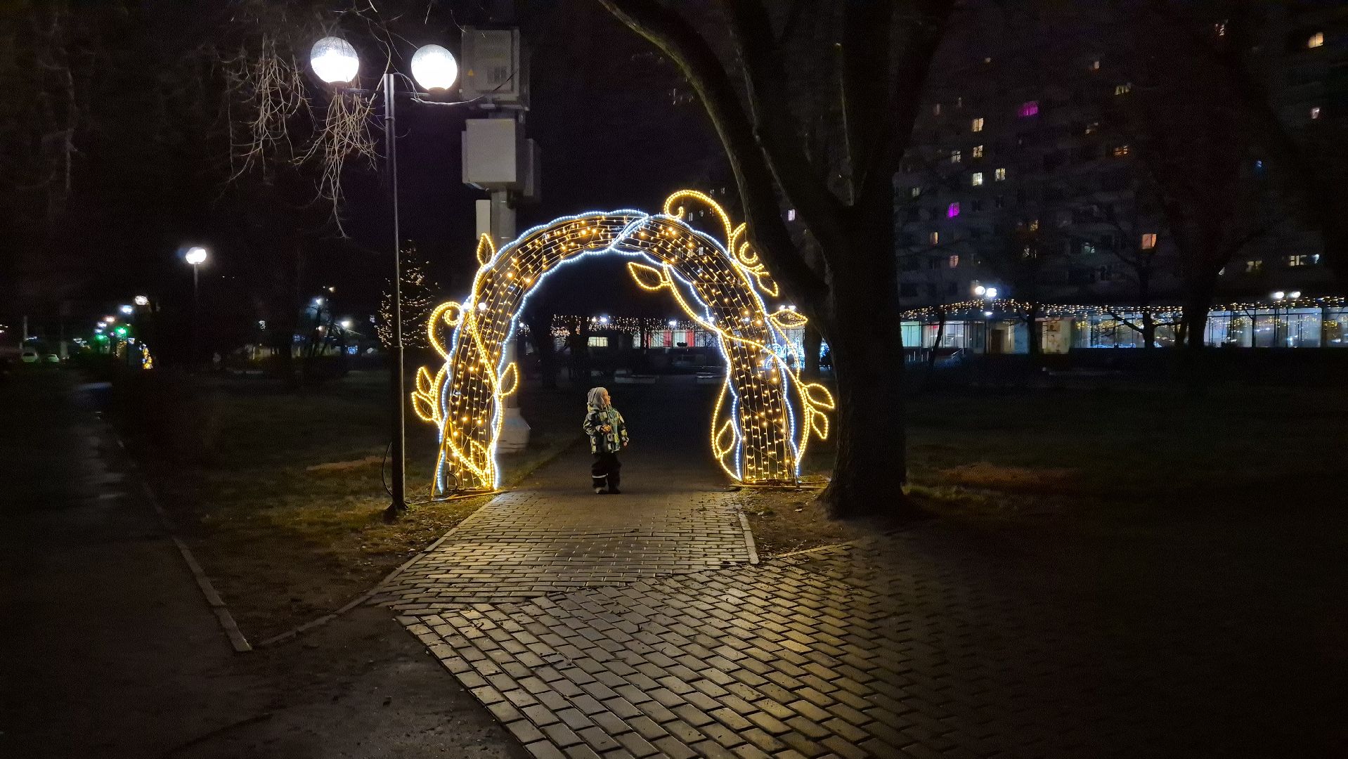 дубна, новогоднеенастроение,