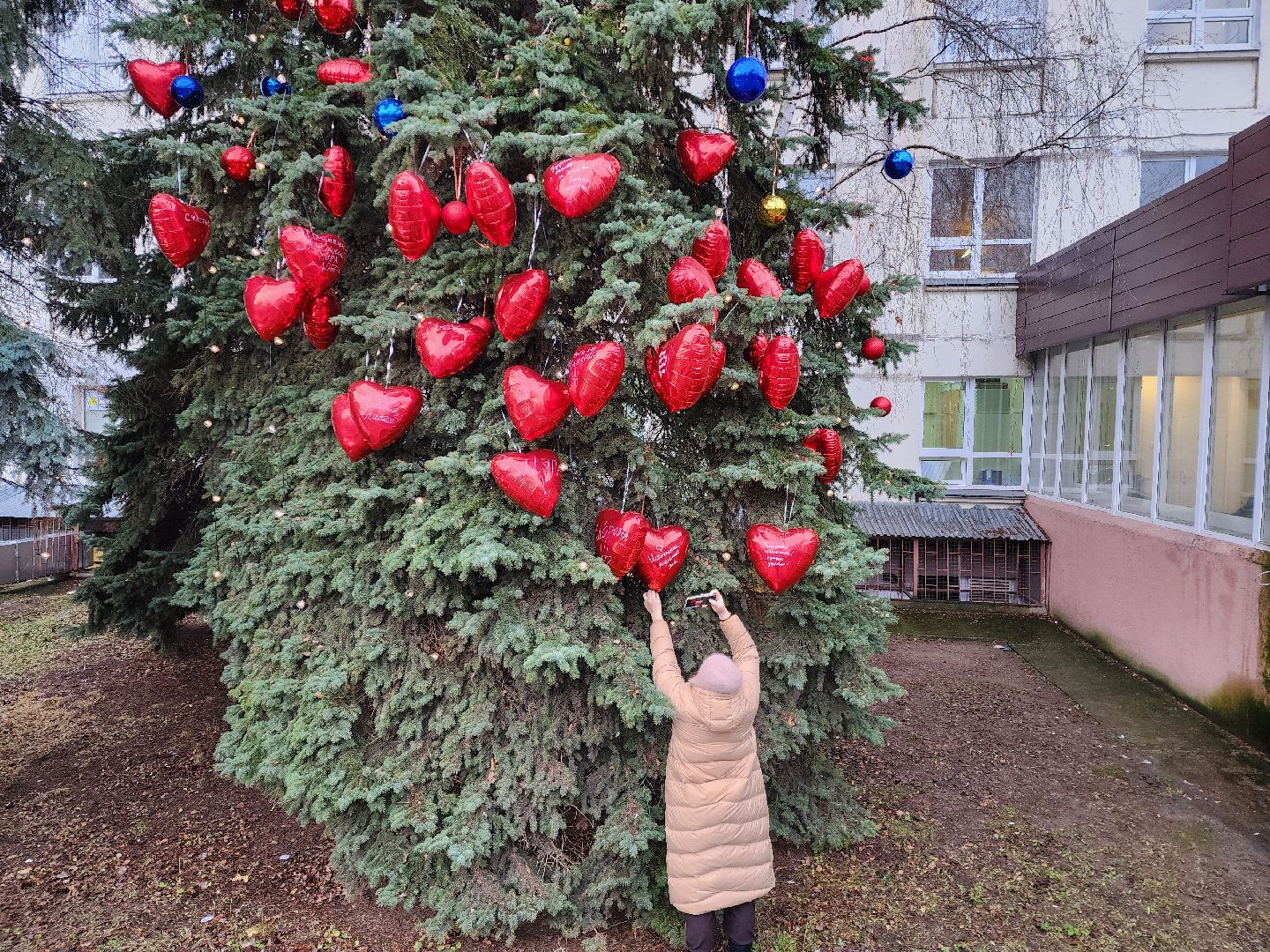раменское, медицина, раменская больница, новогодняя акция, тепло сердец мы дарим нашим пациентам,