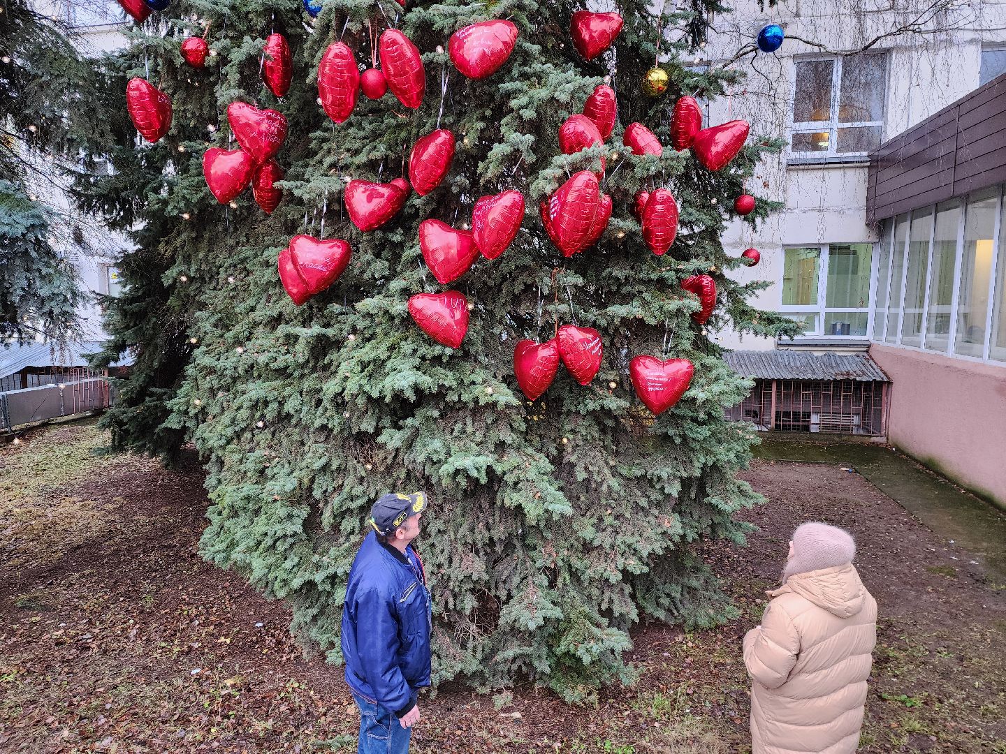 раменское, медицина, раменская больница, новогодняя акция, тепло сердец мы дарим нашим пациентам,