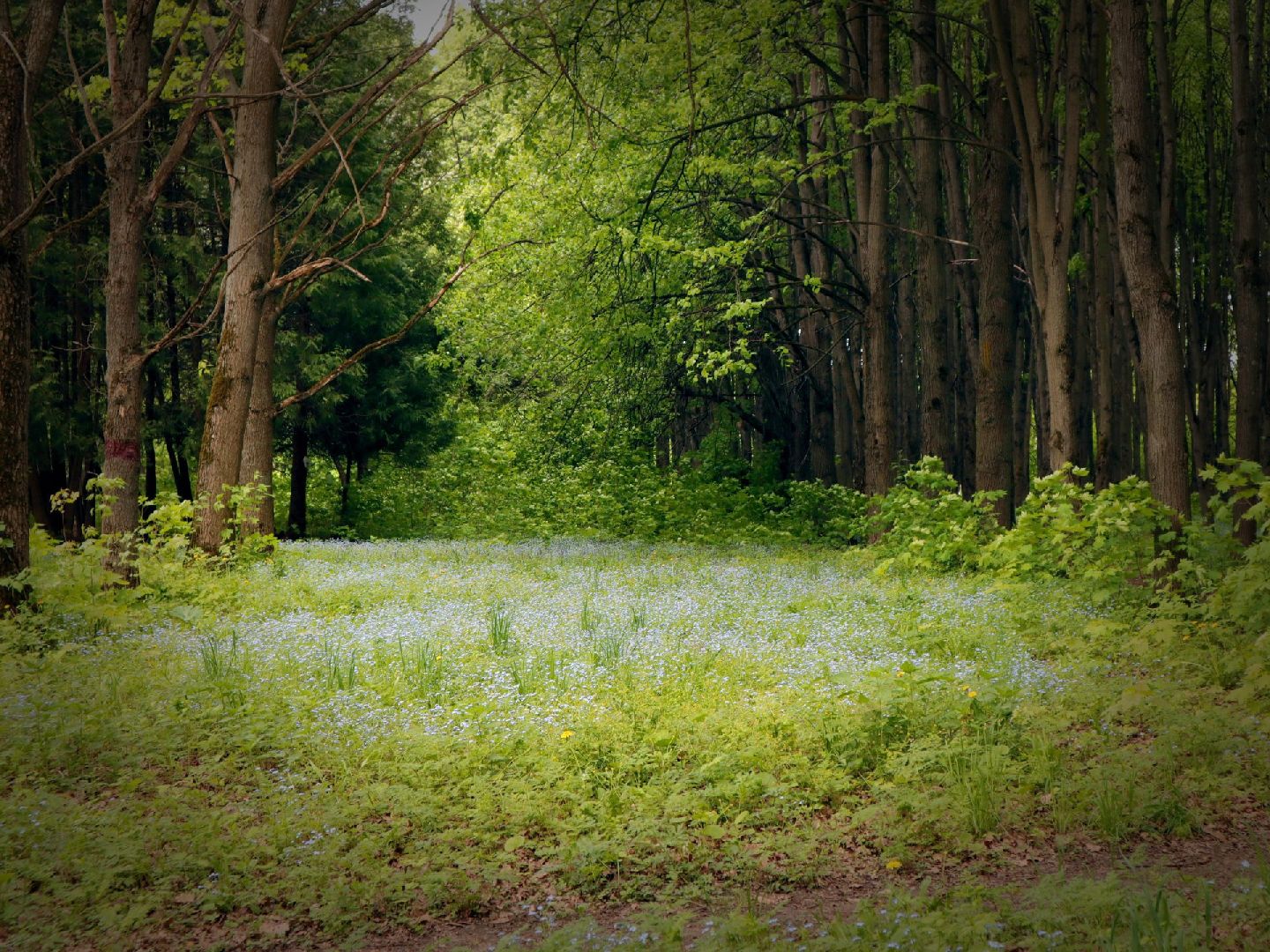 Пущино, экология