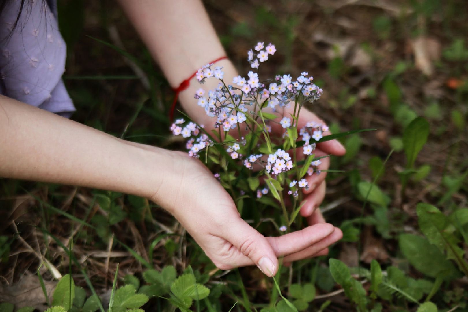 Пущино, экология