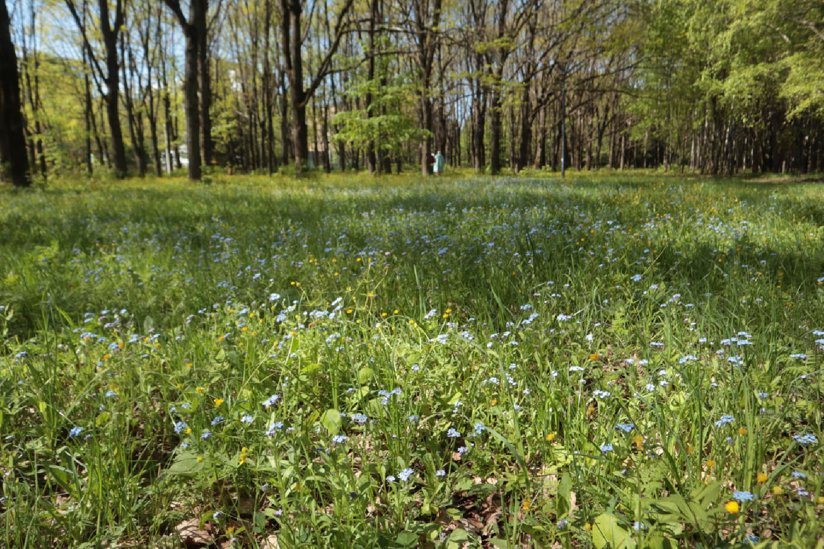 Пущино, экология