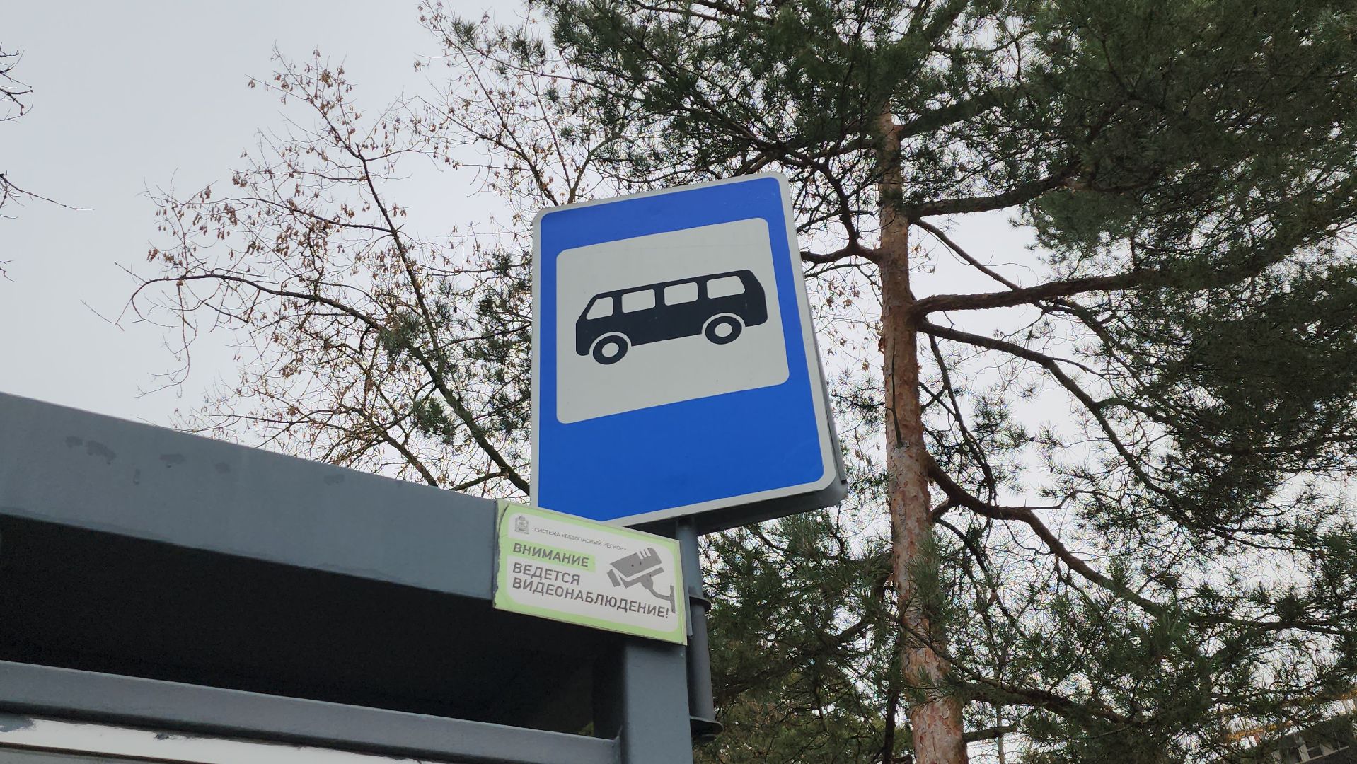 королёв, новый маршрут, Дополнительный автобус,