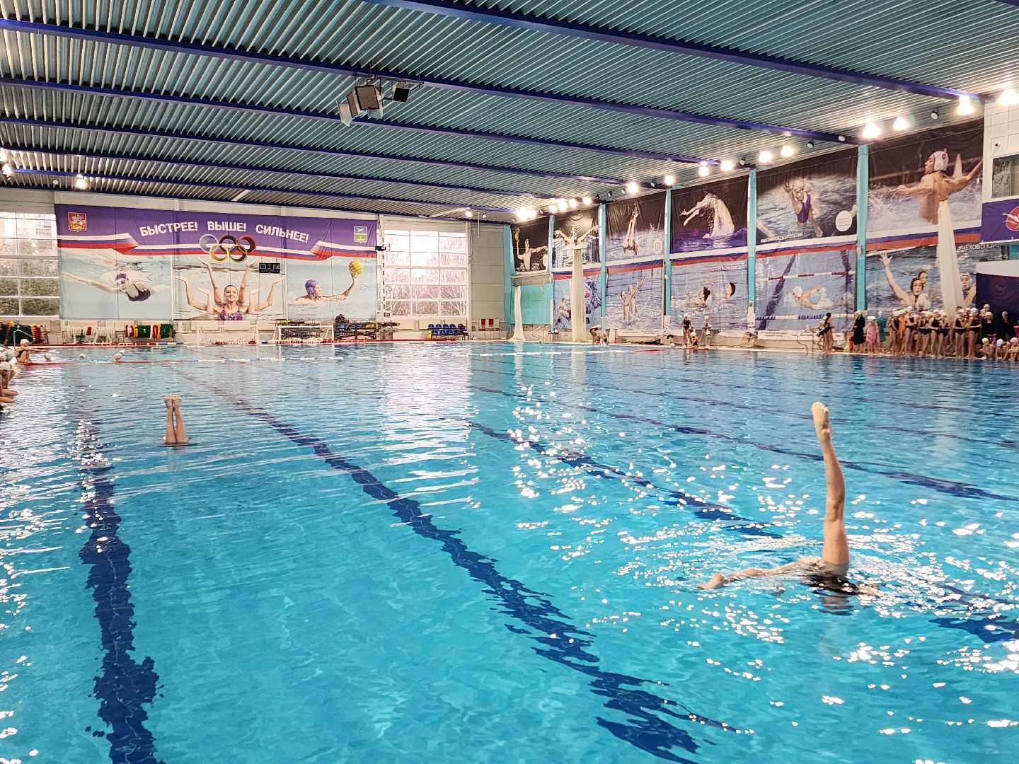 чехов, дворец спорта олимпийский, международный турнир, русская матрешка, синхронное плавание, дети до 13 лет, соревнования, фигуры,ольга брусникина, главный судья полина прощенко,показательные выступления, соло, дуэты, командные состязания, бассейн олимпийский,группы, комби,