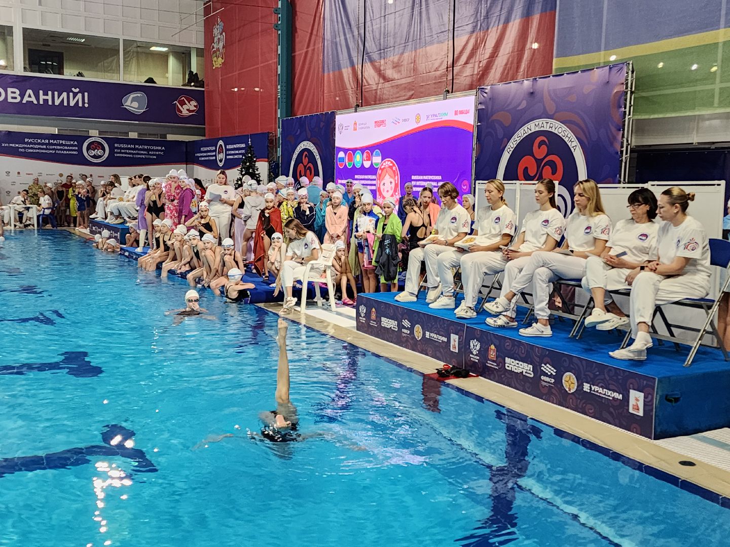чехов, дворец спорта олимпийский, международный турнир, русская матрешка, синхронное плавание, дети до 13 лет, соревнования, фигуры,ольга брусникина, главный судья полина прощенко,показательные выступления, соло, дуэты, командные состязания, бассейн олимпийский,группы, комби,