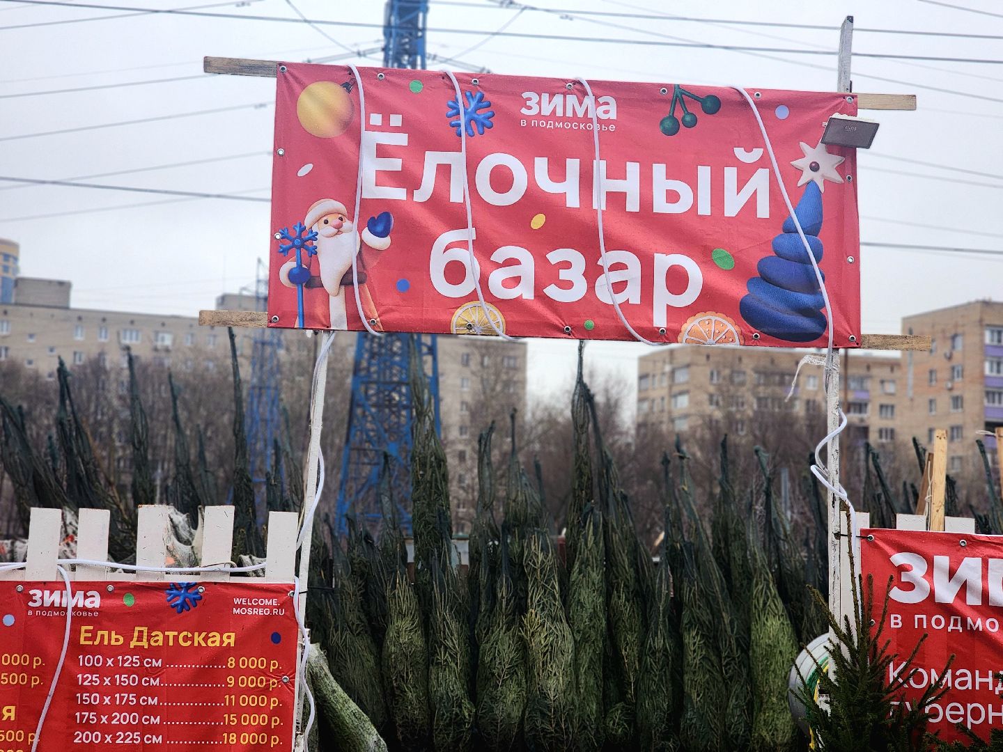 елочный базар, новый год, живые елки,