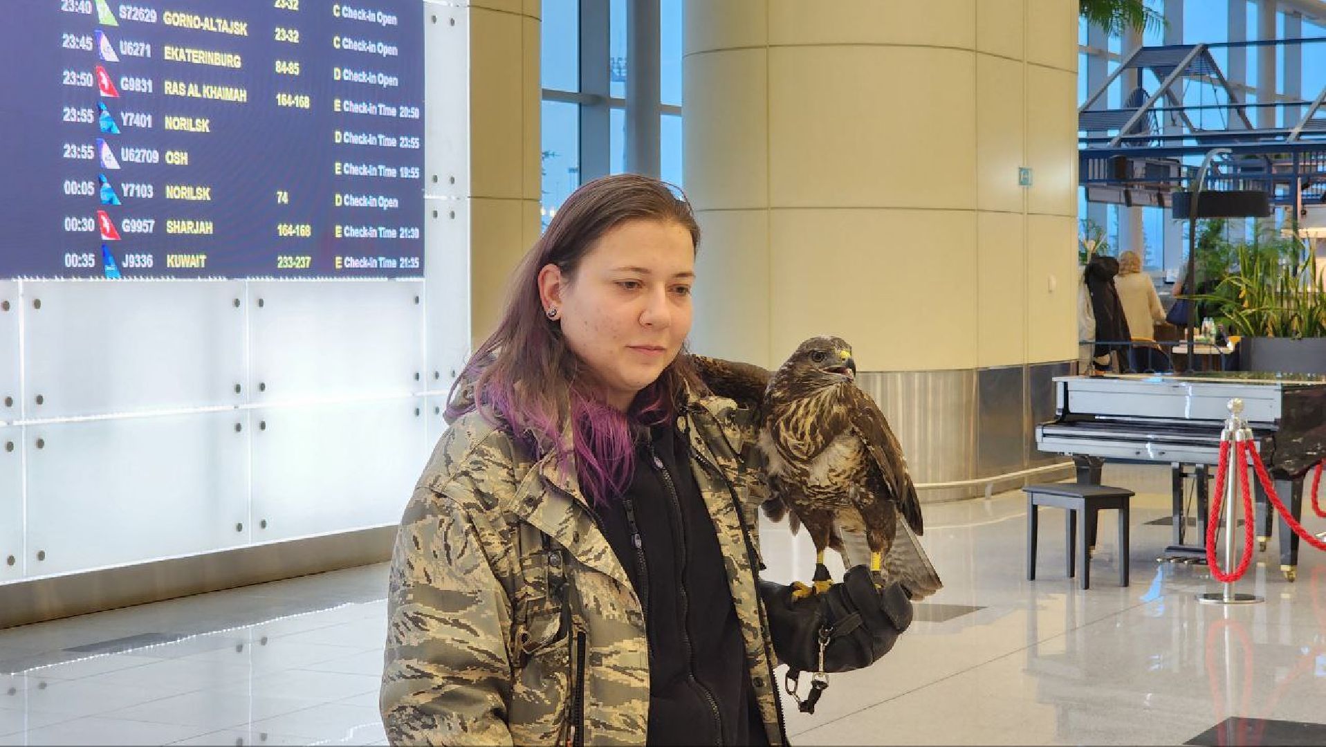 аэропорт домодедово, орнитолог, птицы,