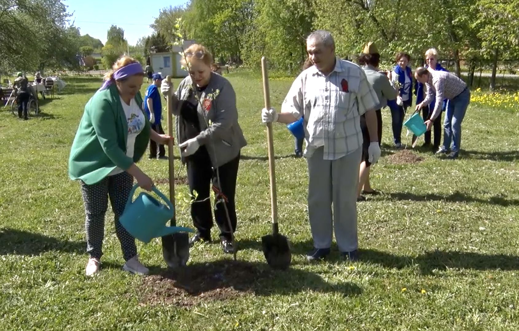 Клин, благоустройство, лес победы, общество