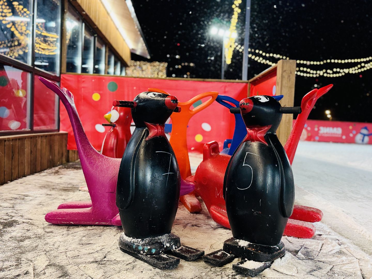 раменское, каток в раменском, зимние забавы, зимний туризм, катки подмосковья, зима в подмосковье,