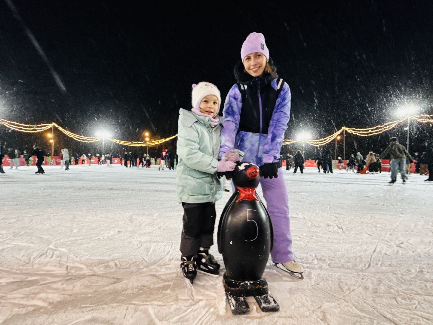 раменское, каток в раменском, зимние забавы, зимний туризм, катки подмосковья, зима в подмосковье,