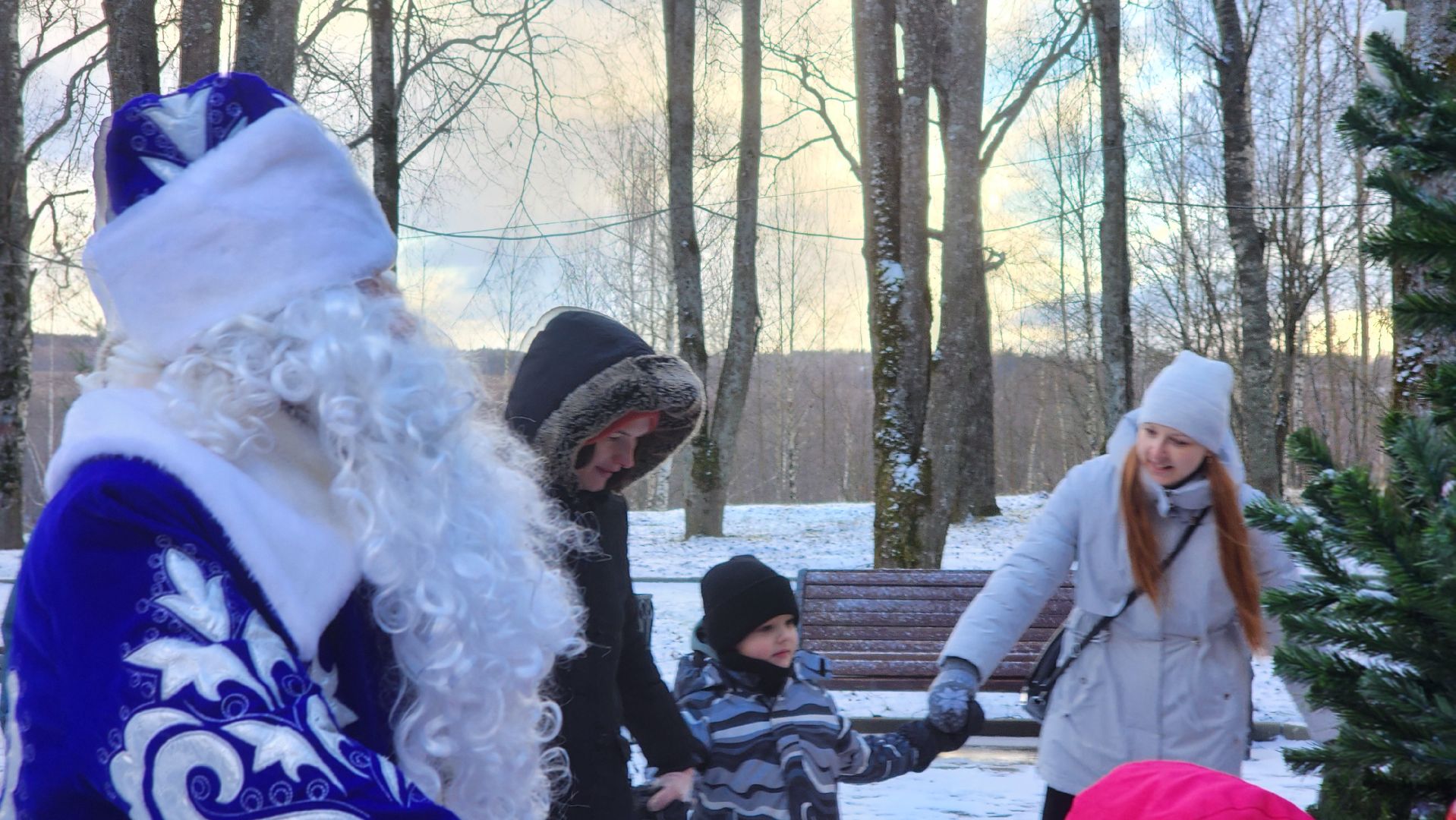 волоколамск, городской парк, зима в  подмосковье,