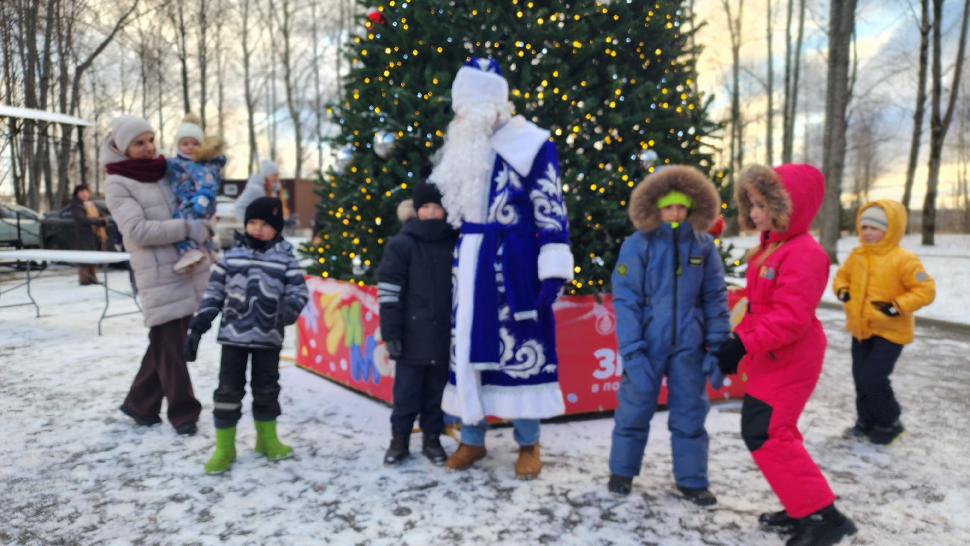 волоколамск, городской парк, зима в  подмосковье,