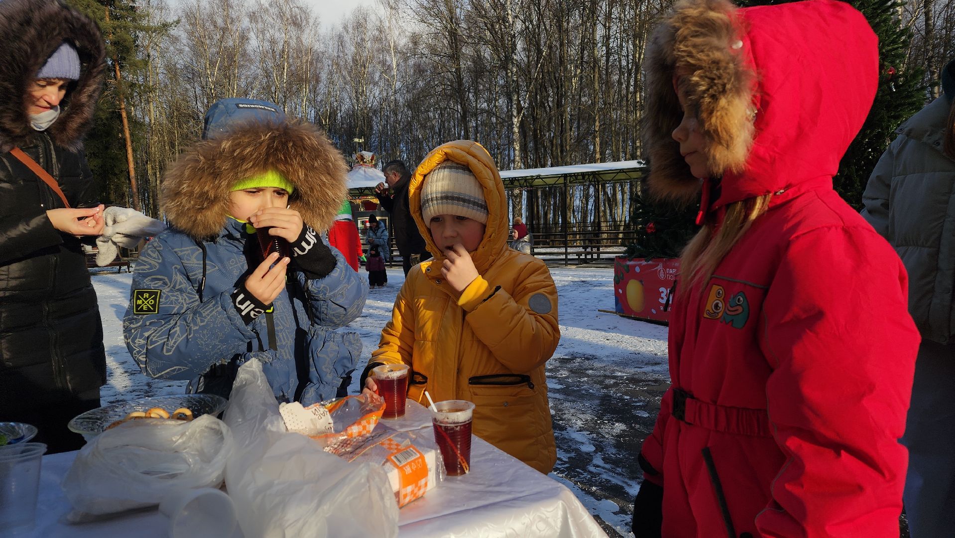 волоколамск, городской парк, зима в  подмосковье,
