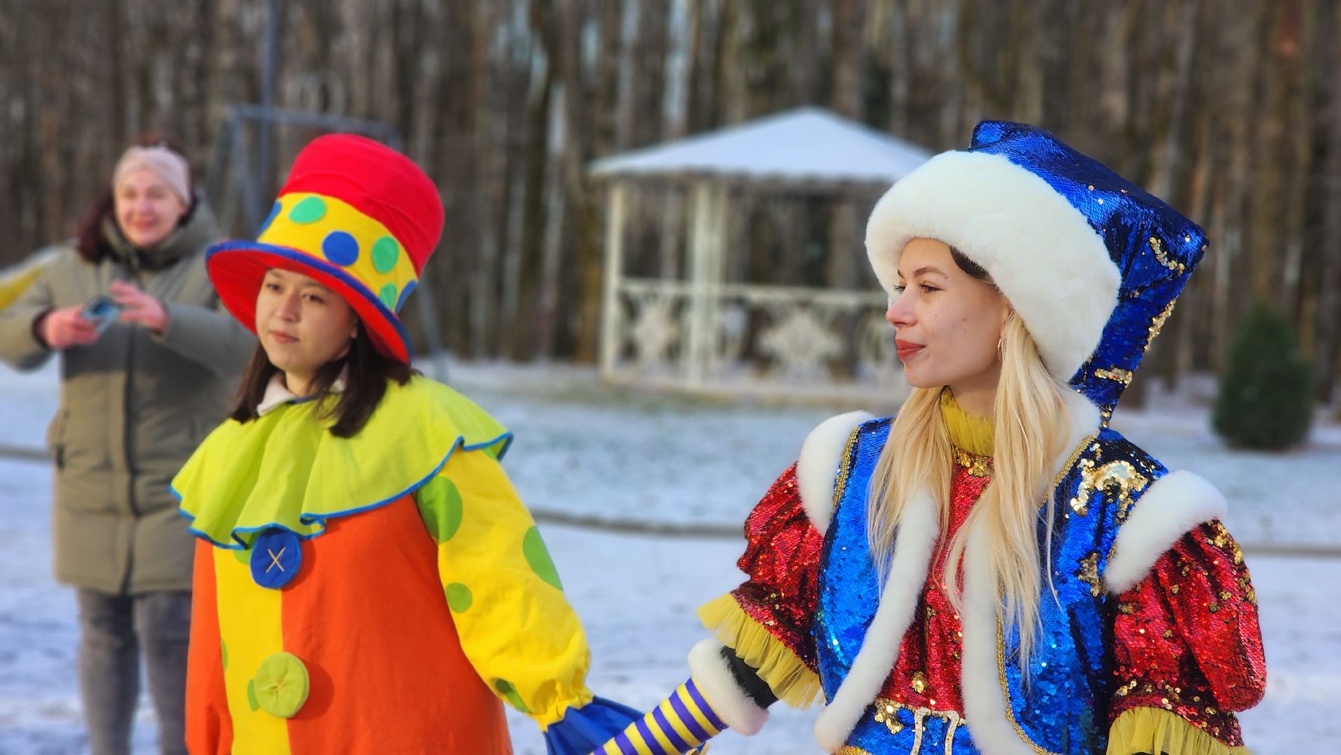 волоколамск, городской парк, зима в  подмосковье,