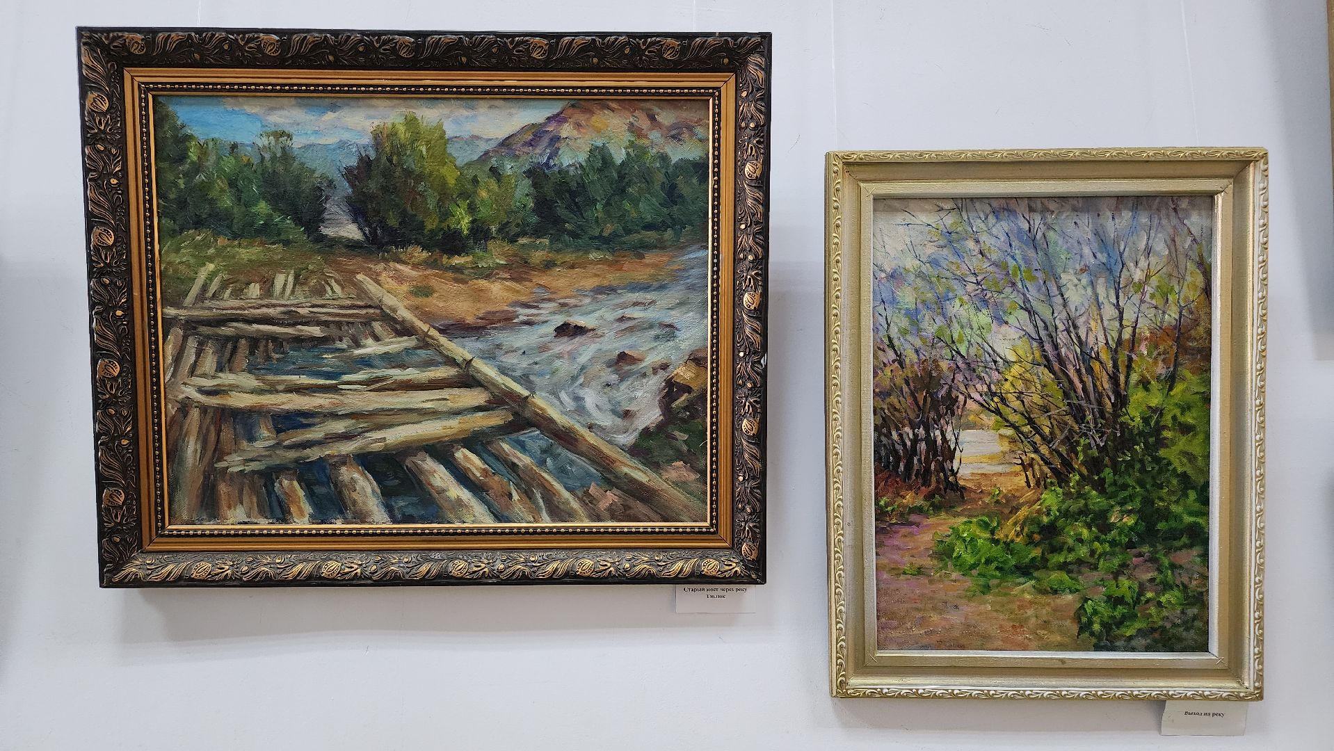 волоколамск, волоколамская библиотека, выставка картин,