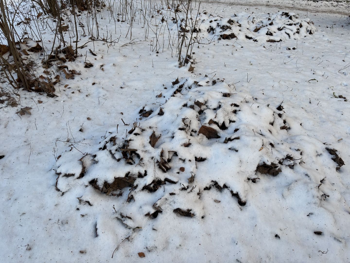 Истра, Реагент, Благоустройство, коммунальные службы,