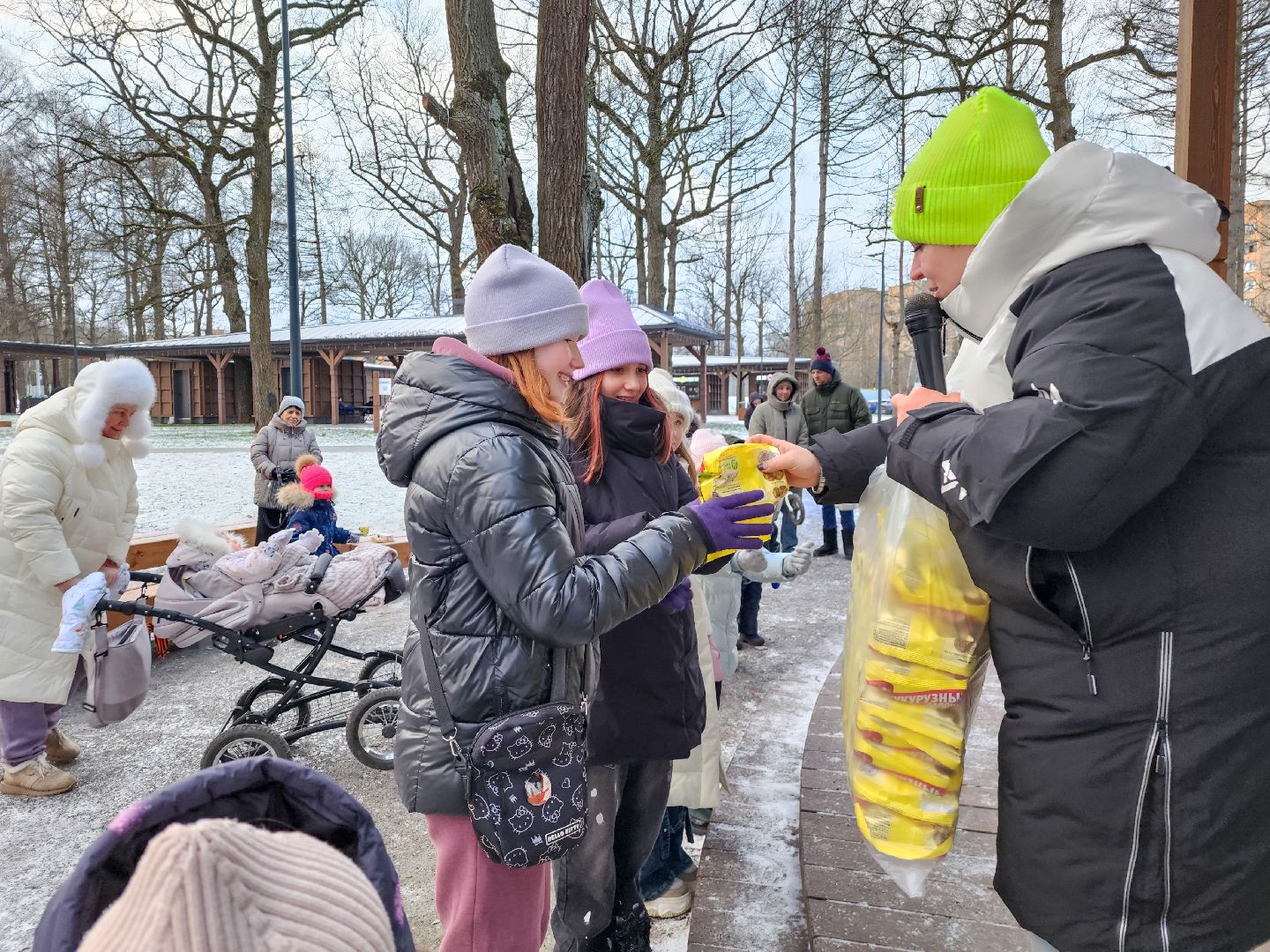 Подольск, Климовск, Парк Дубрава,парки подмосковья,