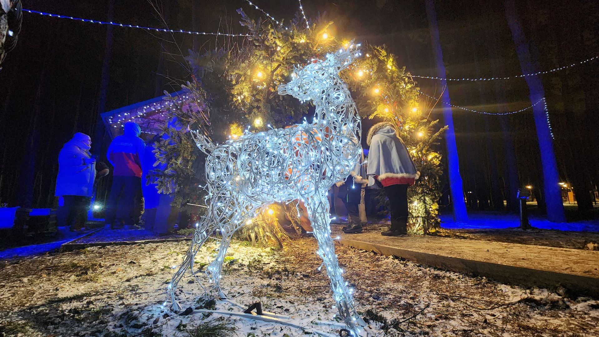 резиденция деда мороза, дед мороз, новый год, культура, парк , парк культуры, парк отдыха, дети,  семья, хоббии, каток, письмо деду морозу,  зима в  подмосковье,