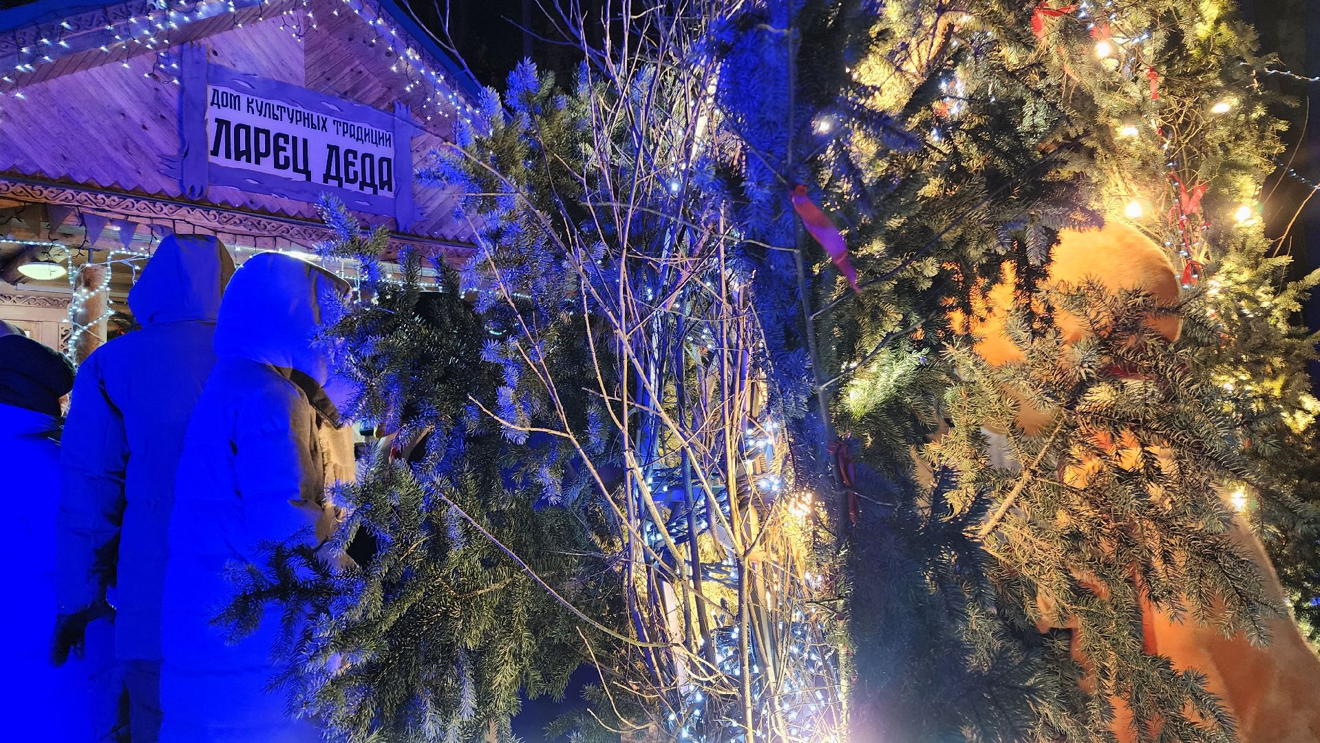 резиденция деда мороза, дед мороз, новый год, культура, парк , парк культуры, парк отдыха, дети,  семья, хоббии, каток, письмо деду морозу,  зима в  подмосковье,