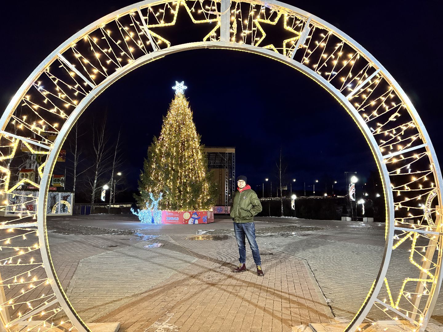 шаховская школа, новогодние украшения, зима в  подмосковье,