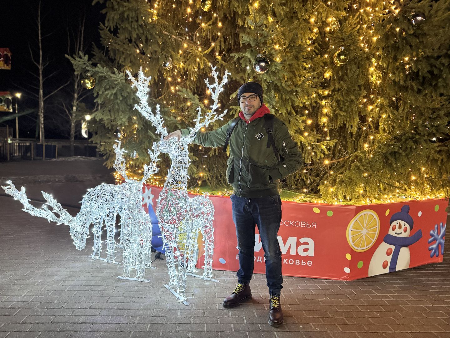 шаховская школа, новогодние украшения, зима в  подмосковье,