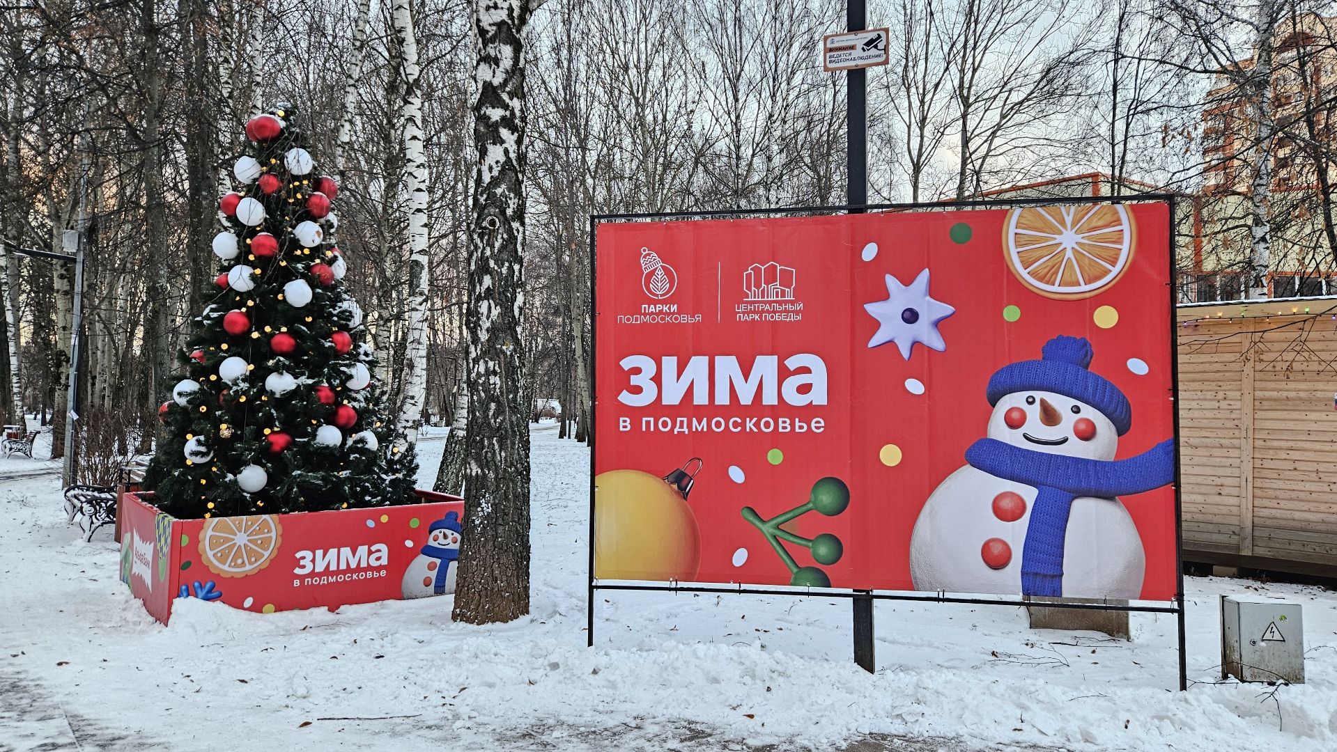 долгопрудный, центральный парк победы, зима в подмосковье, зима в подмосковье 2025,