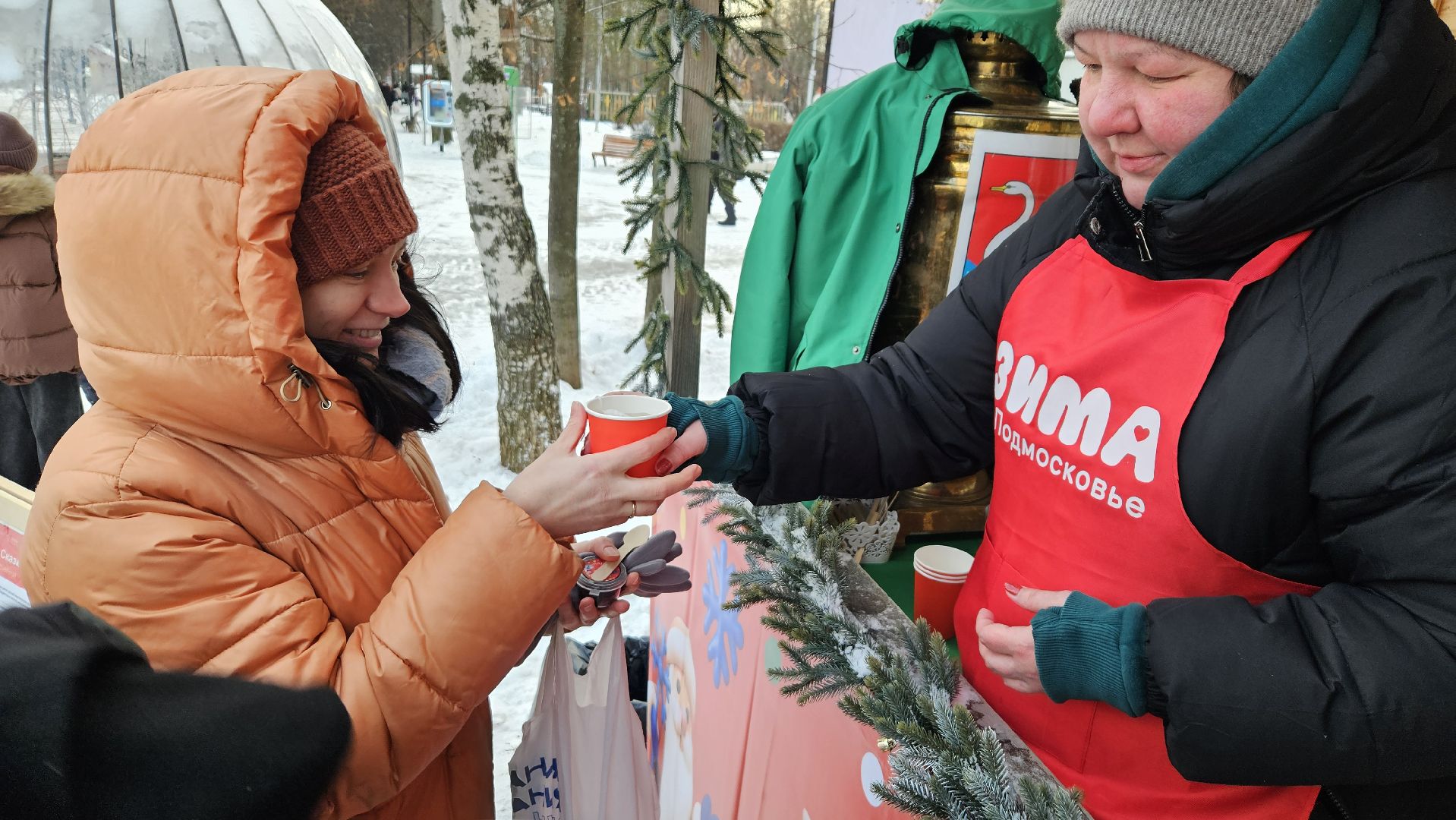 долгопрудный, центральный парк победы, зима в подмосковье, зима в подмосковье 2025,