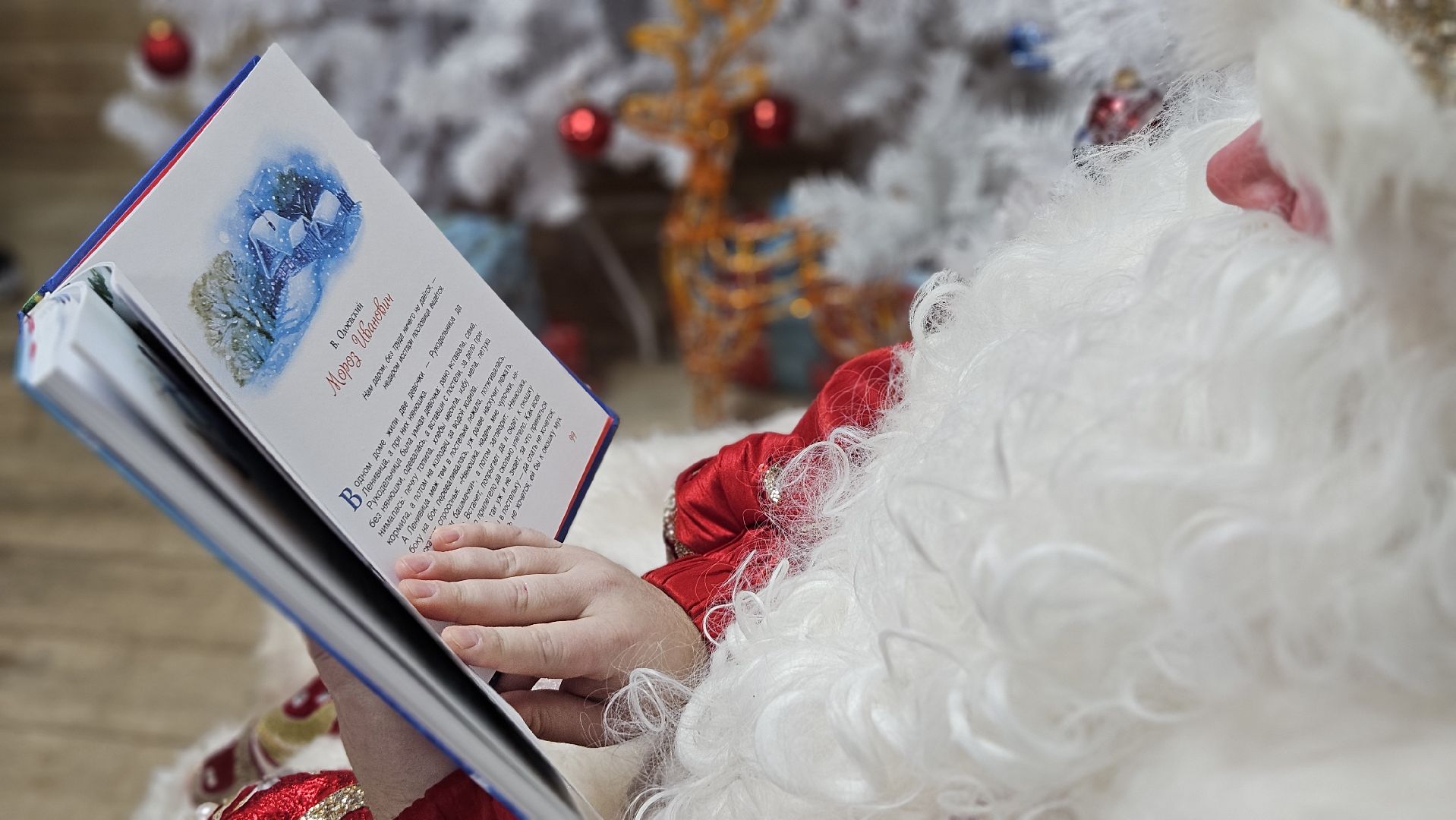 долгопрудный, центральный парк победы, зима в подмосковье, зима в подмосковье 2025,