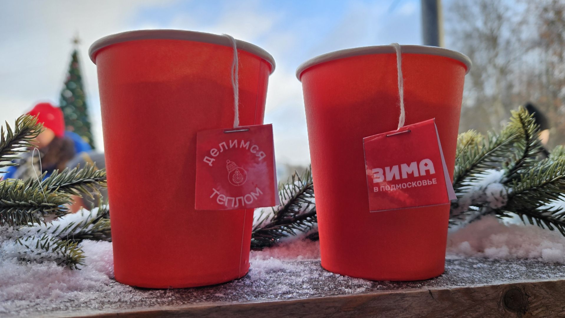 долгопрудный, центральный парк победы, зима в подмосковье, зима в подмосковье 2025,