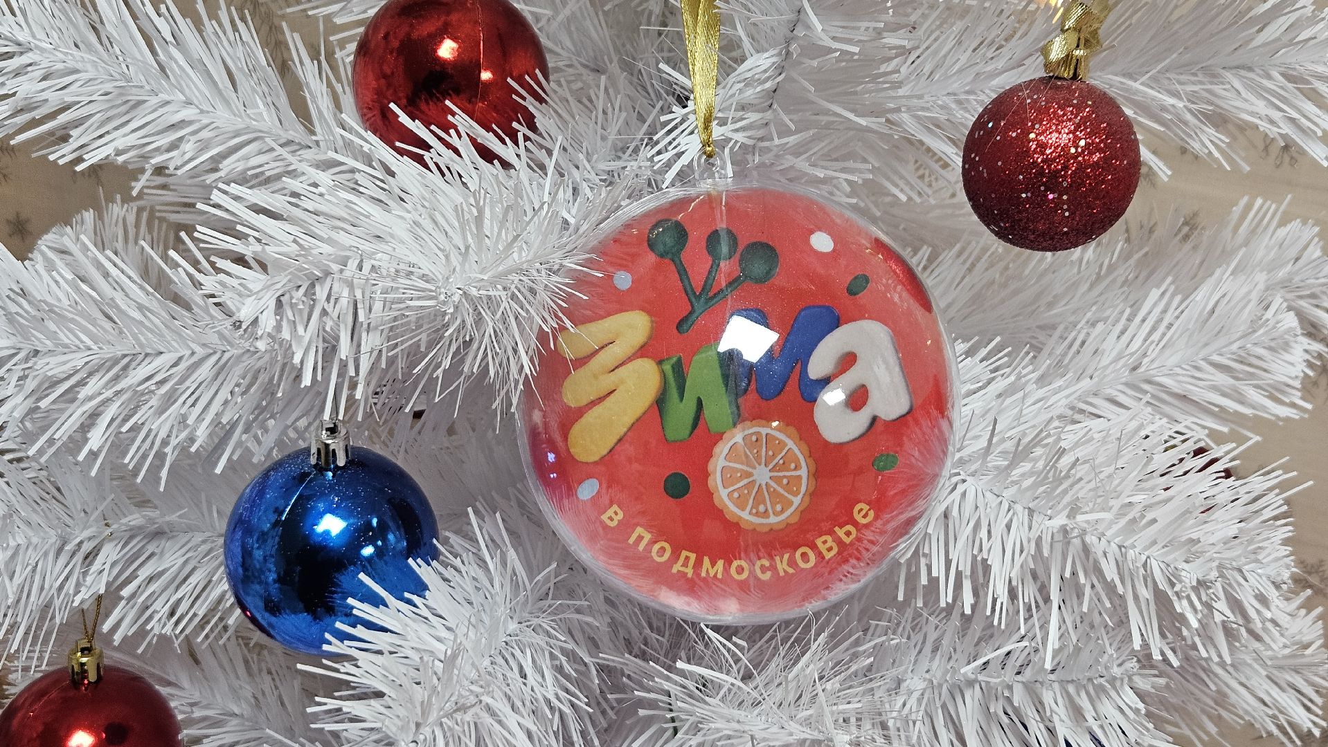 долгопрудный, центральный парк победы, зима в подмосковье, зима в подмосковье 2025,