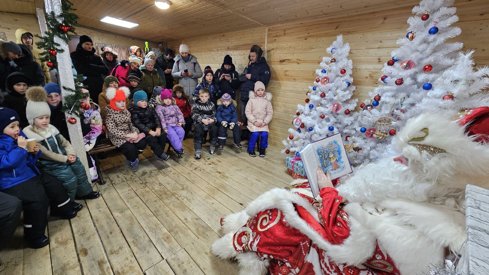 долгопрудный, центральный парк победы, зима в подмосковье, зима в подмосковье 2025,