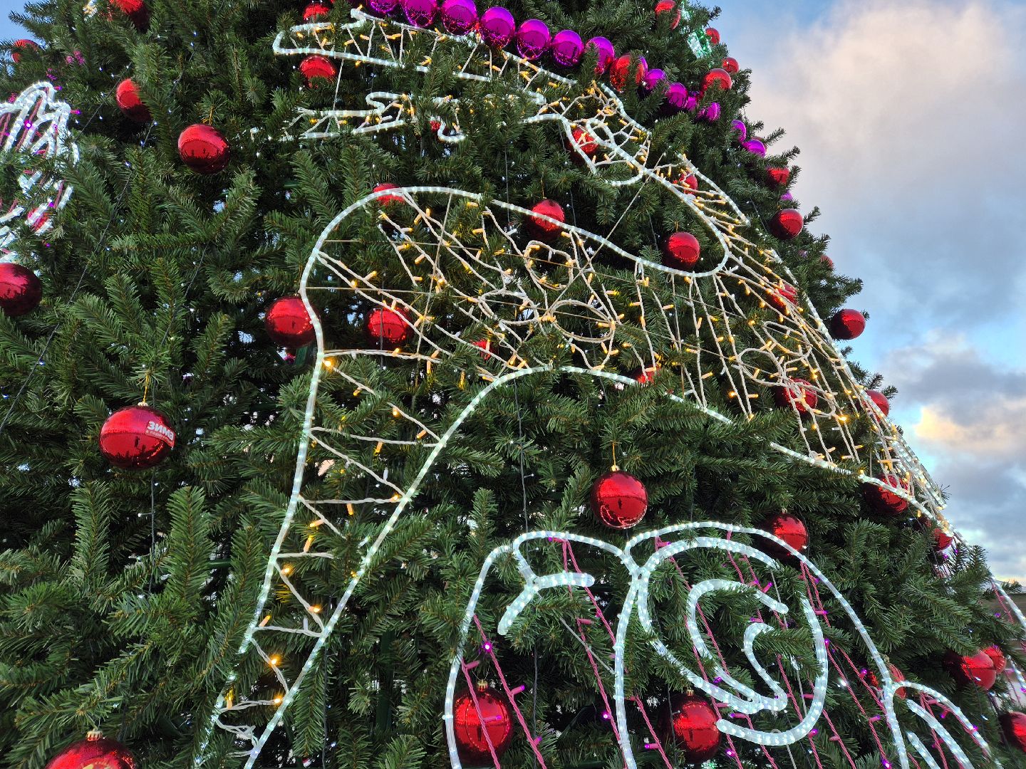 ликино-дулево, орехово-зуевский округ, парк,