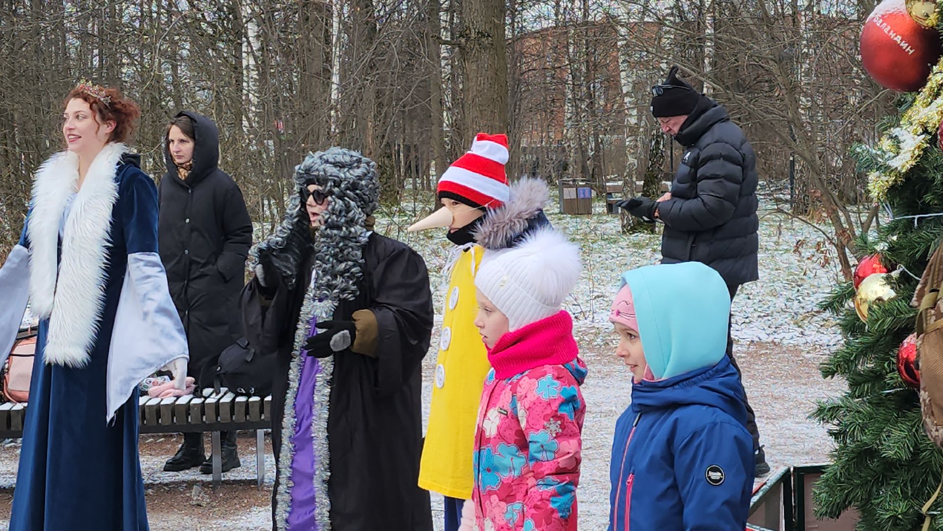 фрязино,  зима в подмосковье, парки сказки торжество,