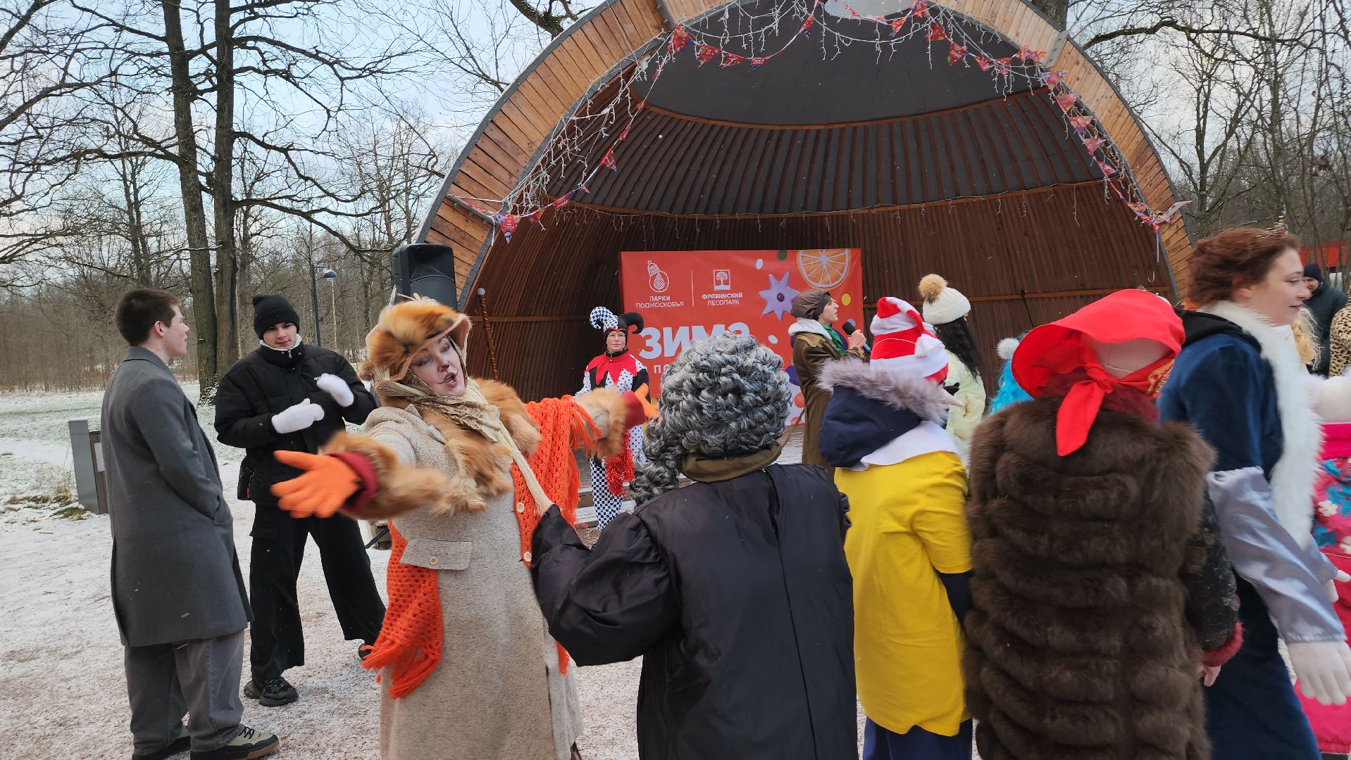 фрязино,  зима в подмосковье, парки сказки торжество,