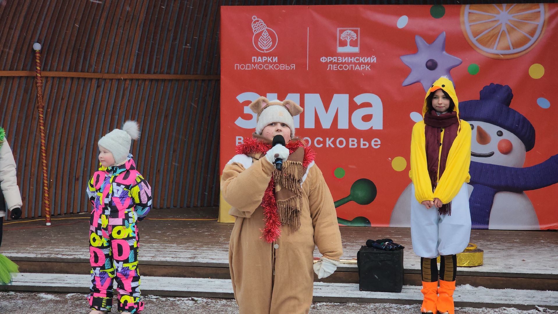 фрязино,  зима в подмосковье, парки сказки торжество,