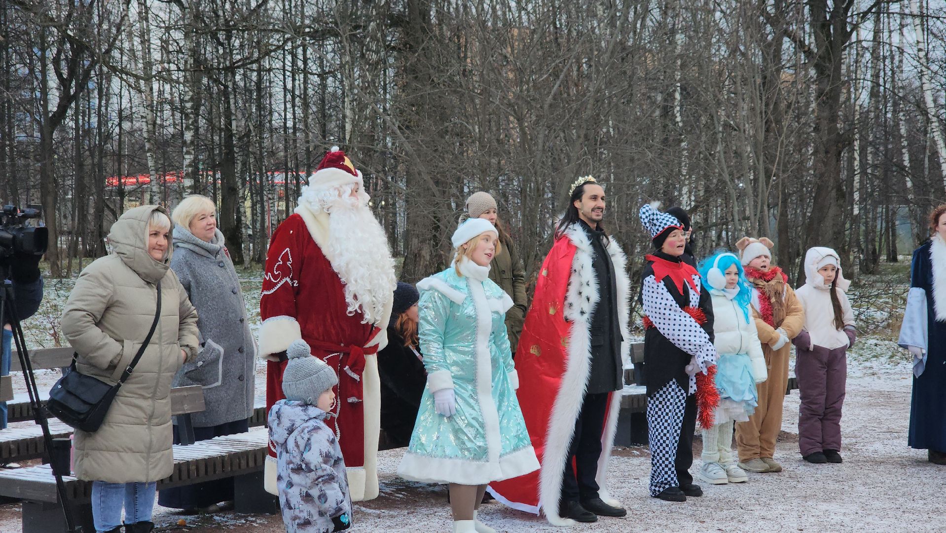 фрязино,  зима в подмосковье, парки сказки торжество,