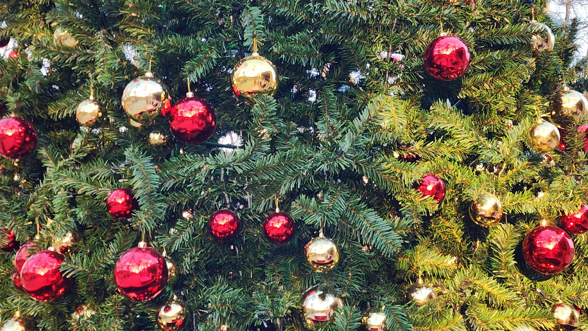 Звенигород , Туризм , Культура , Общество ,