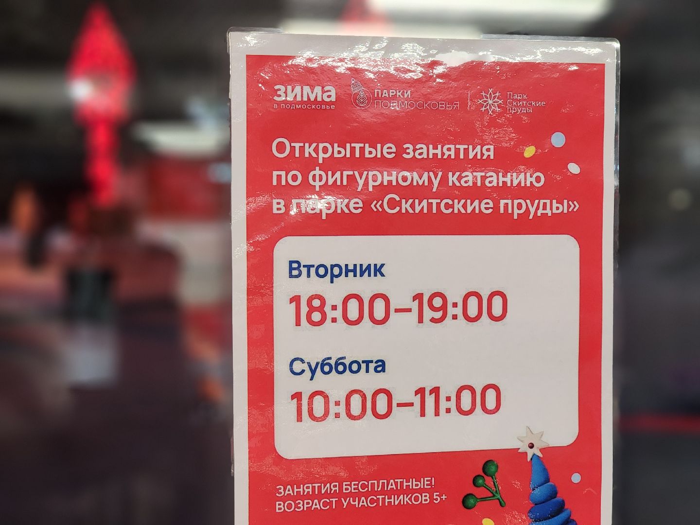 сергиев посад, сергиево-посадский городской округ, скитские пруды, зима в  подмосковье, зима в парках, паркисказкиторжество, каток, катание в парке, прокат коньков,