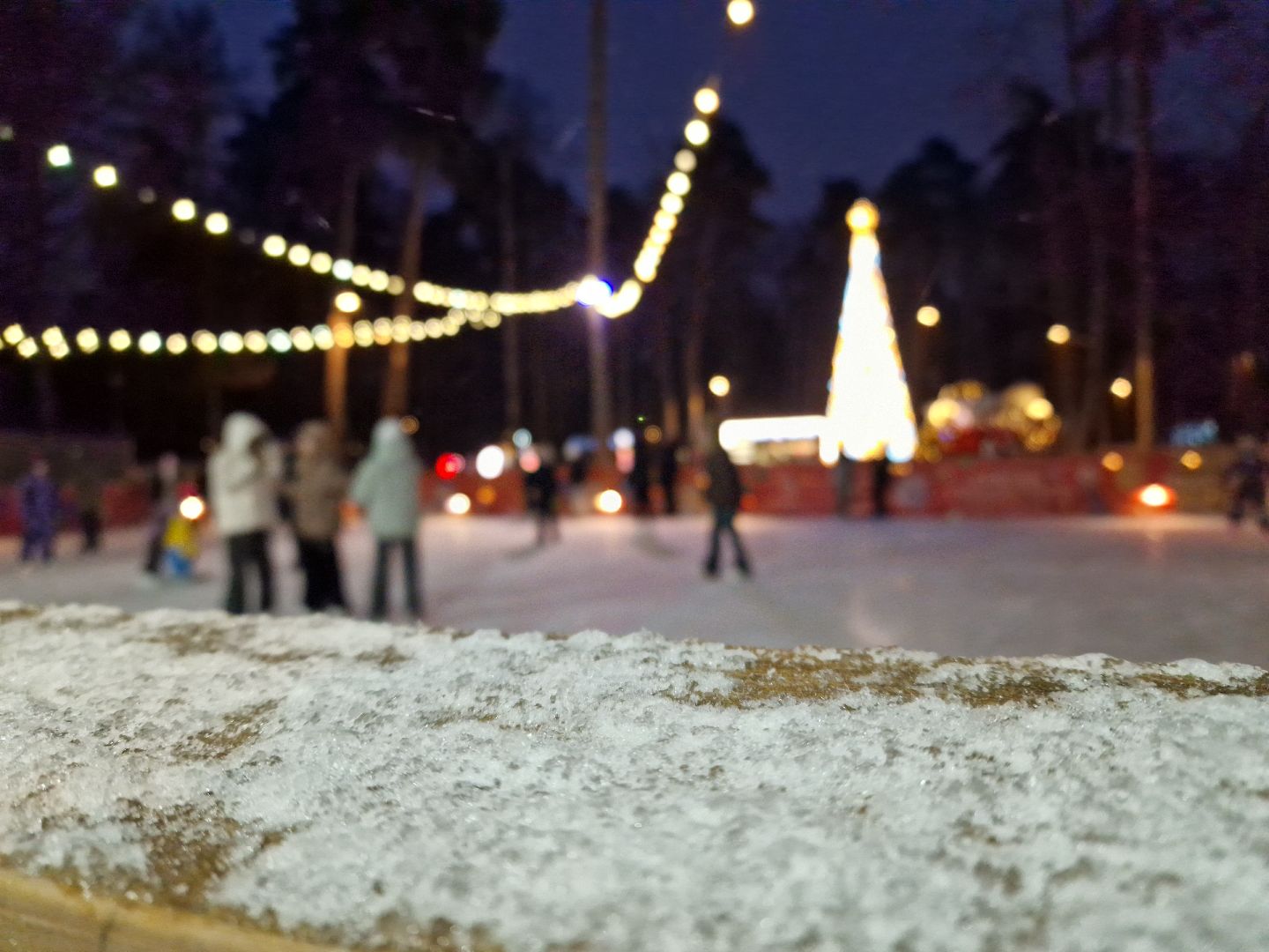 первый снежный день зимы жители балашихи вышли на лед, балашиха парк пехорка,
