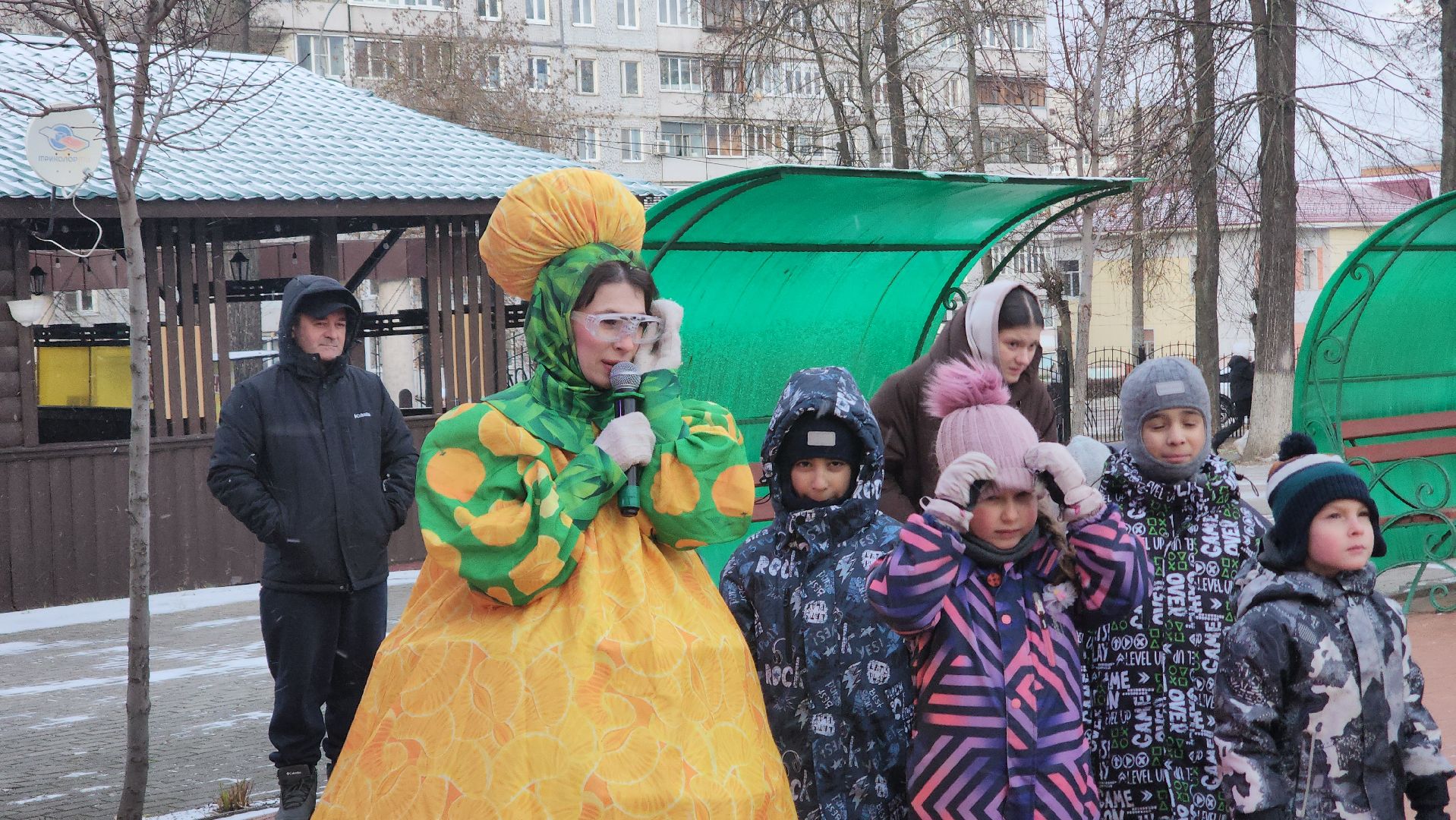 Павловский Посад , Новый год , Парк,