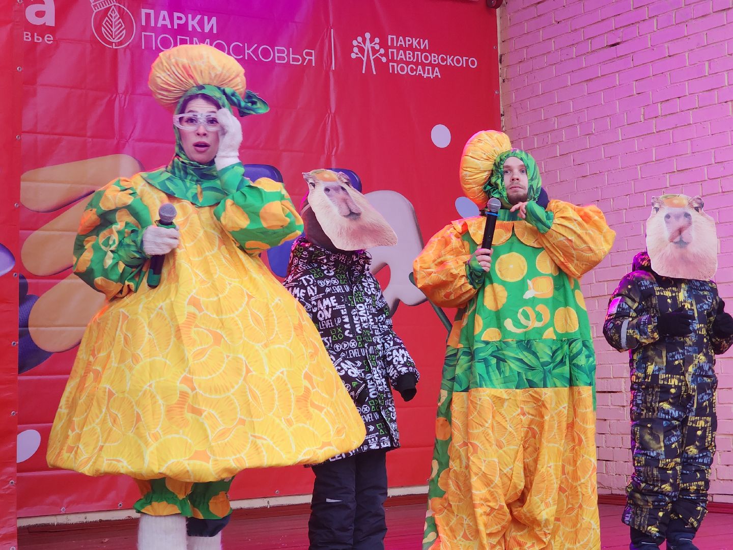 Павловский Посад , Новый год , Парк,