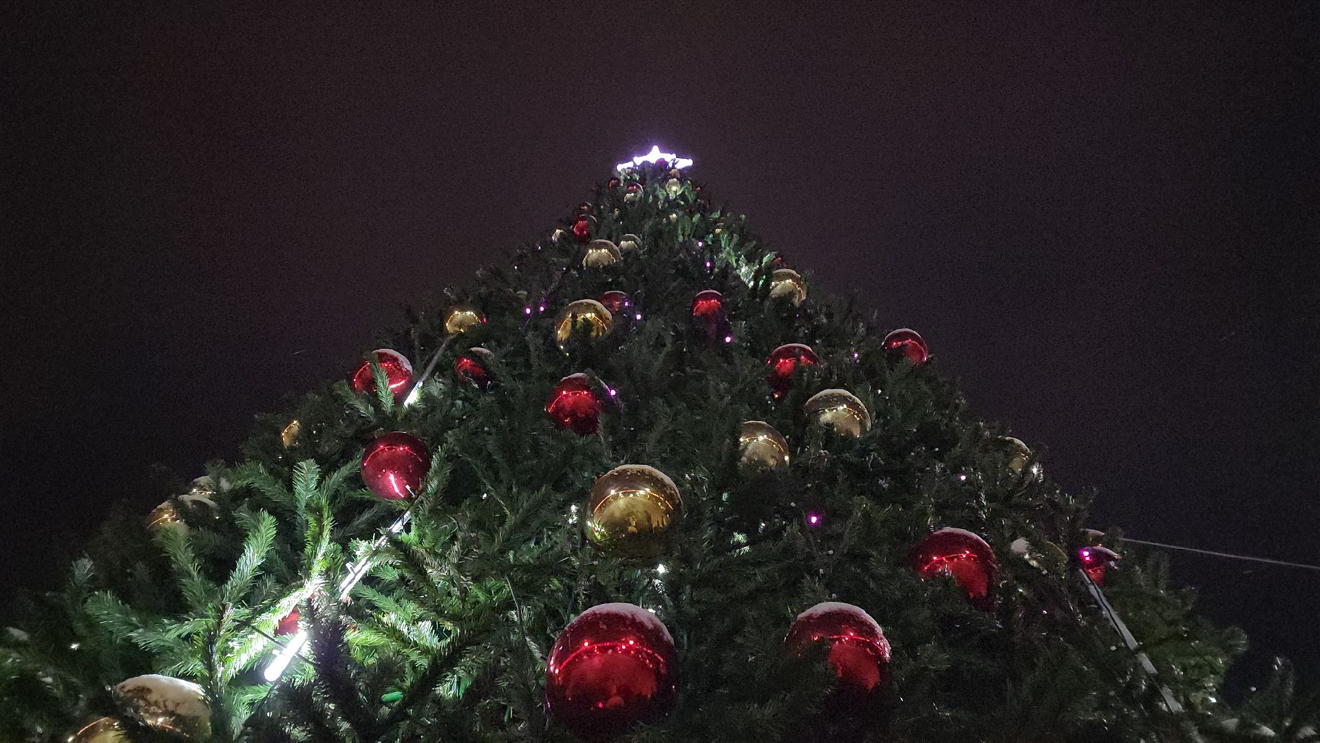 луховицы, парк воробьева, новый год,