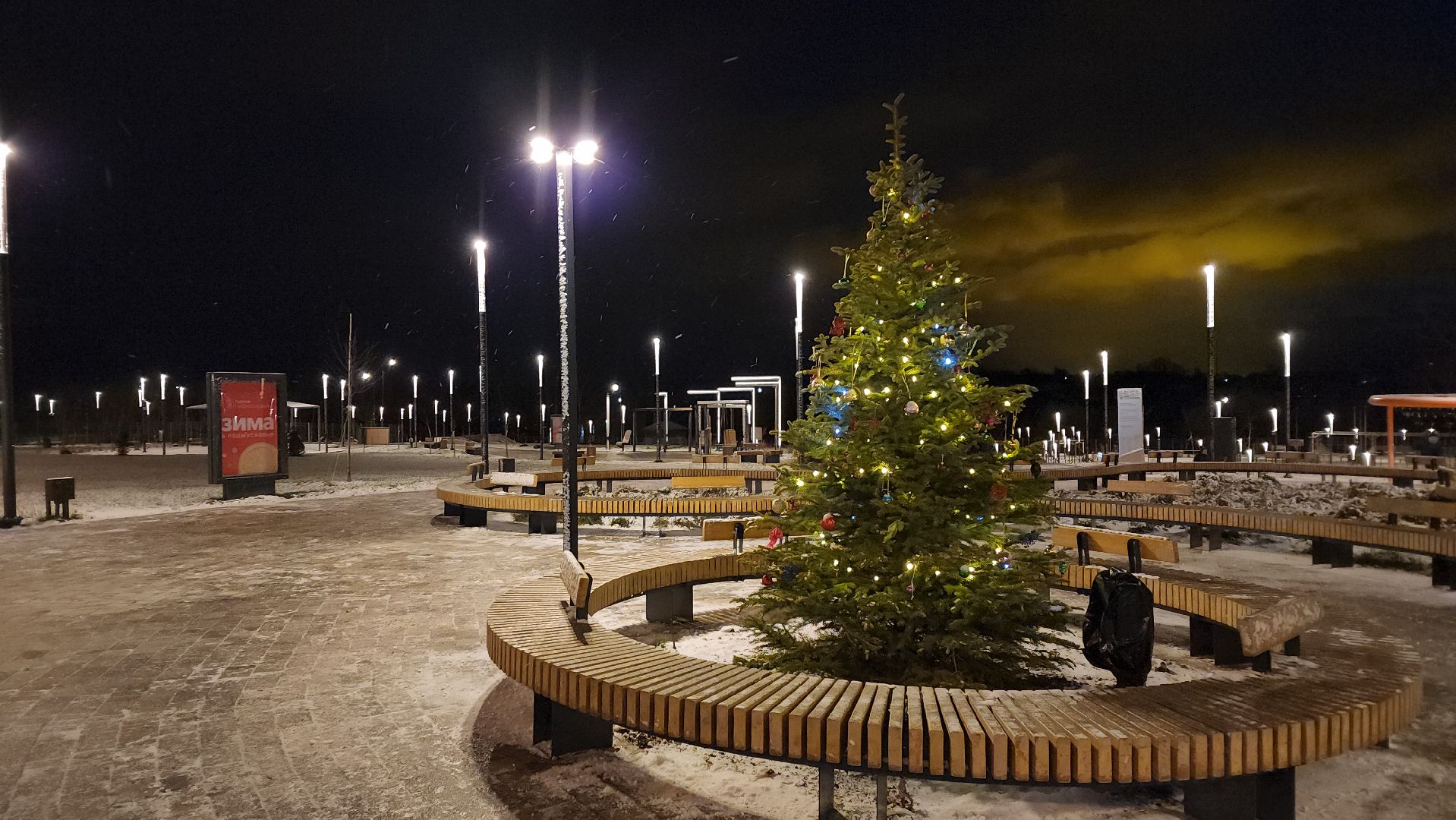 луховицы, парк воробьева, новый год,