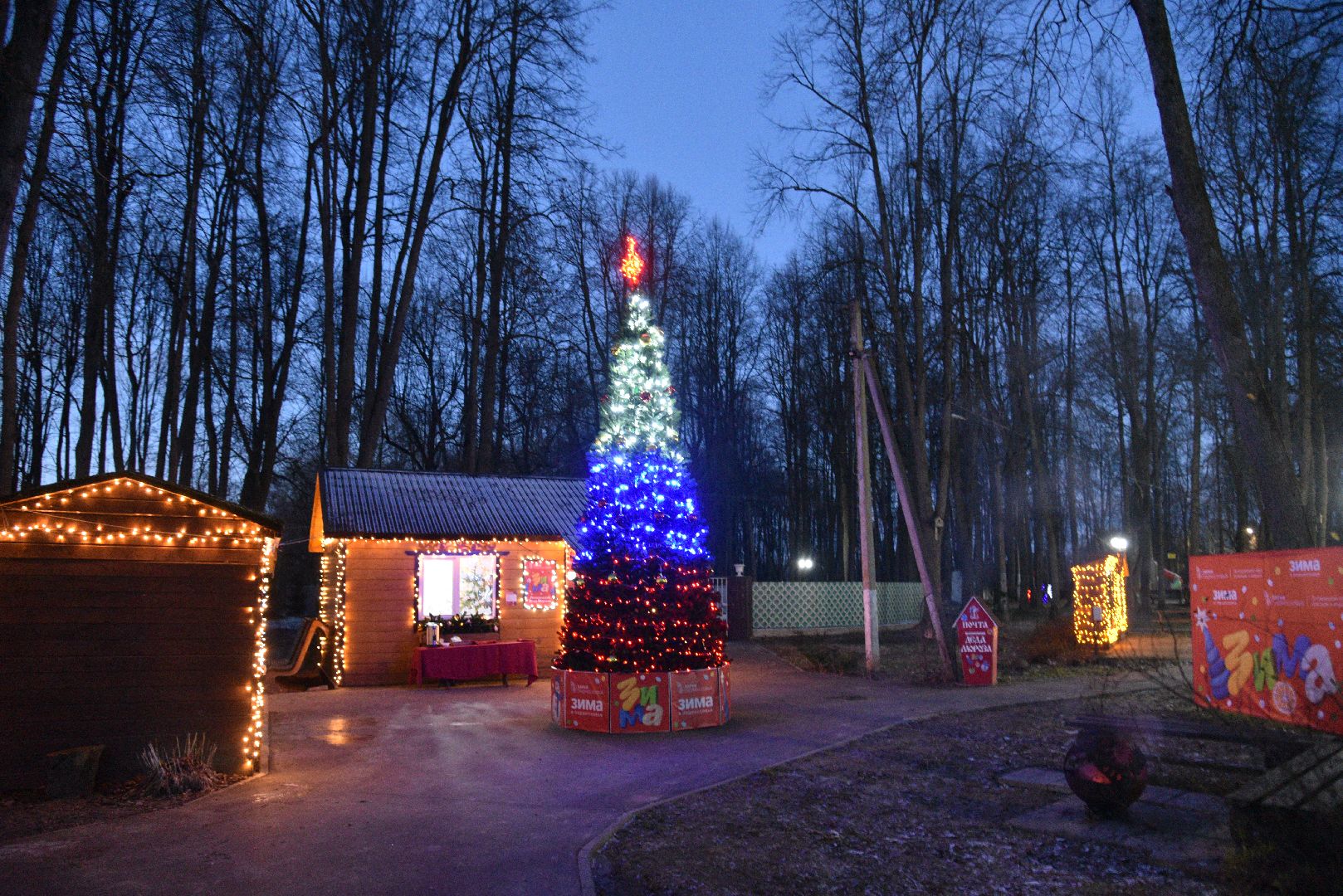 лотошино, лотошинский парк, новый год, дед мороз,