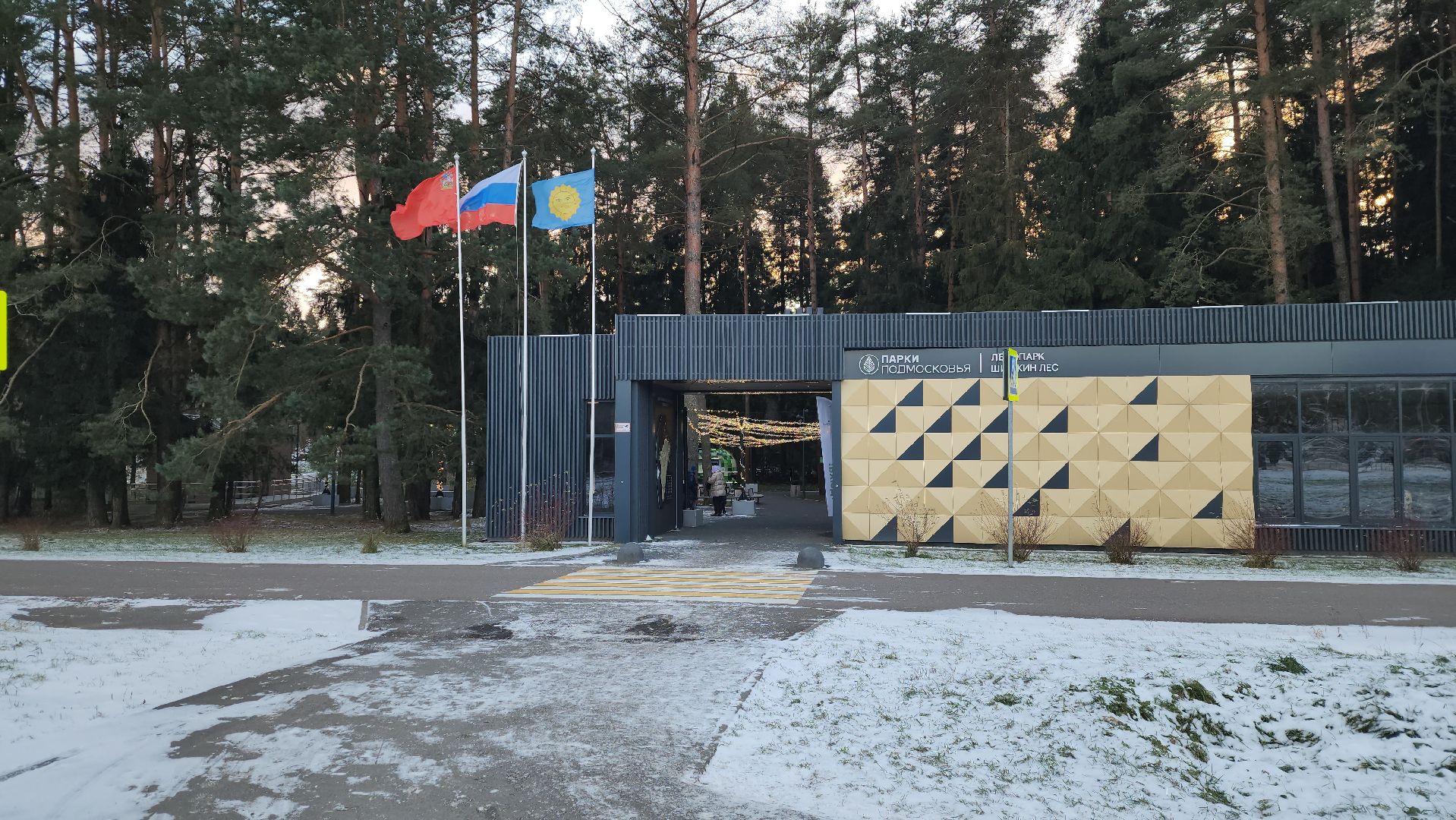 истра, лесопарк, зима в подмосковье,